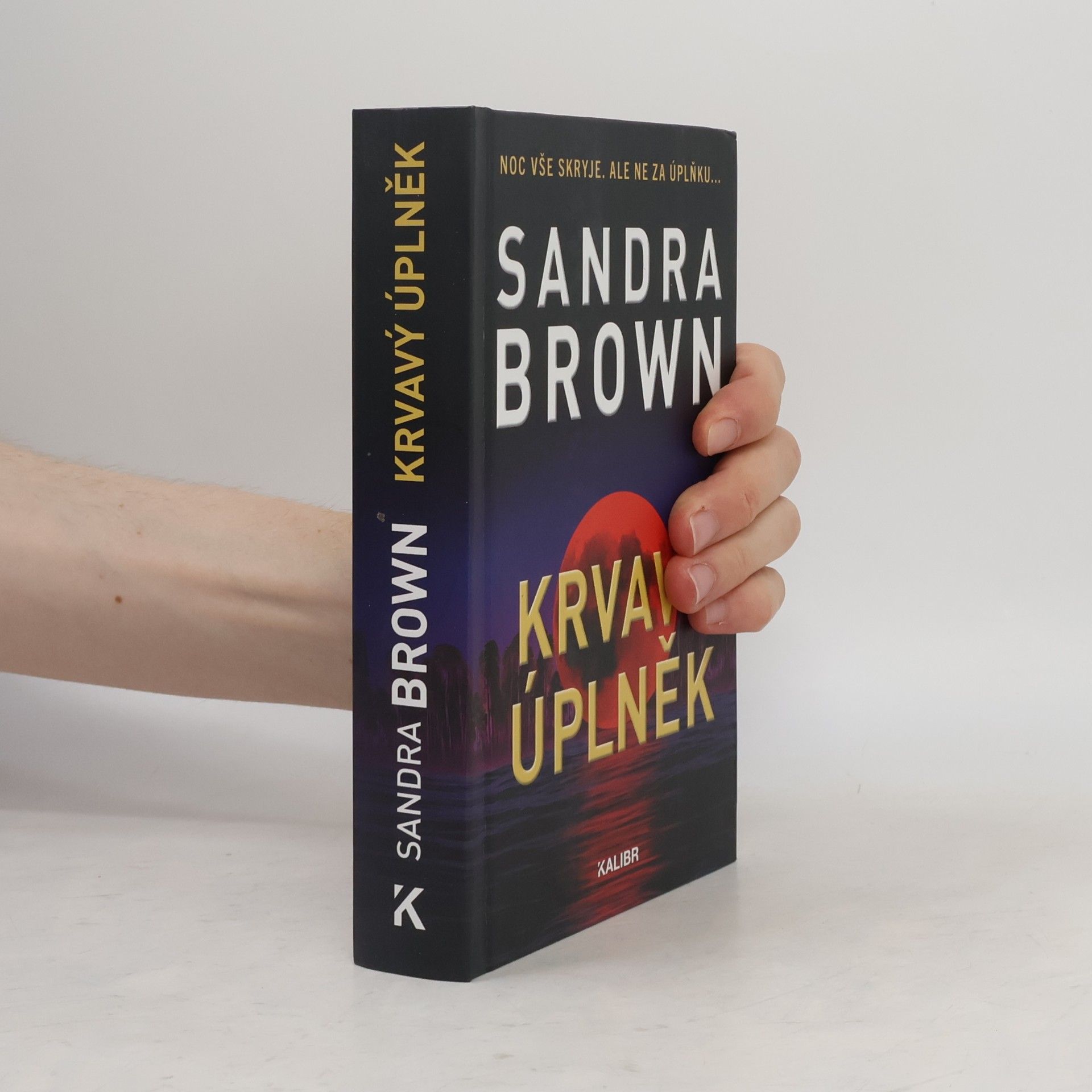 Sandra Brown Krvavý úplněk