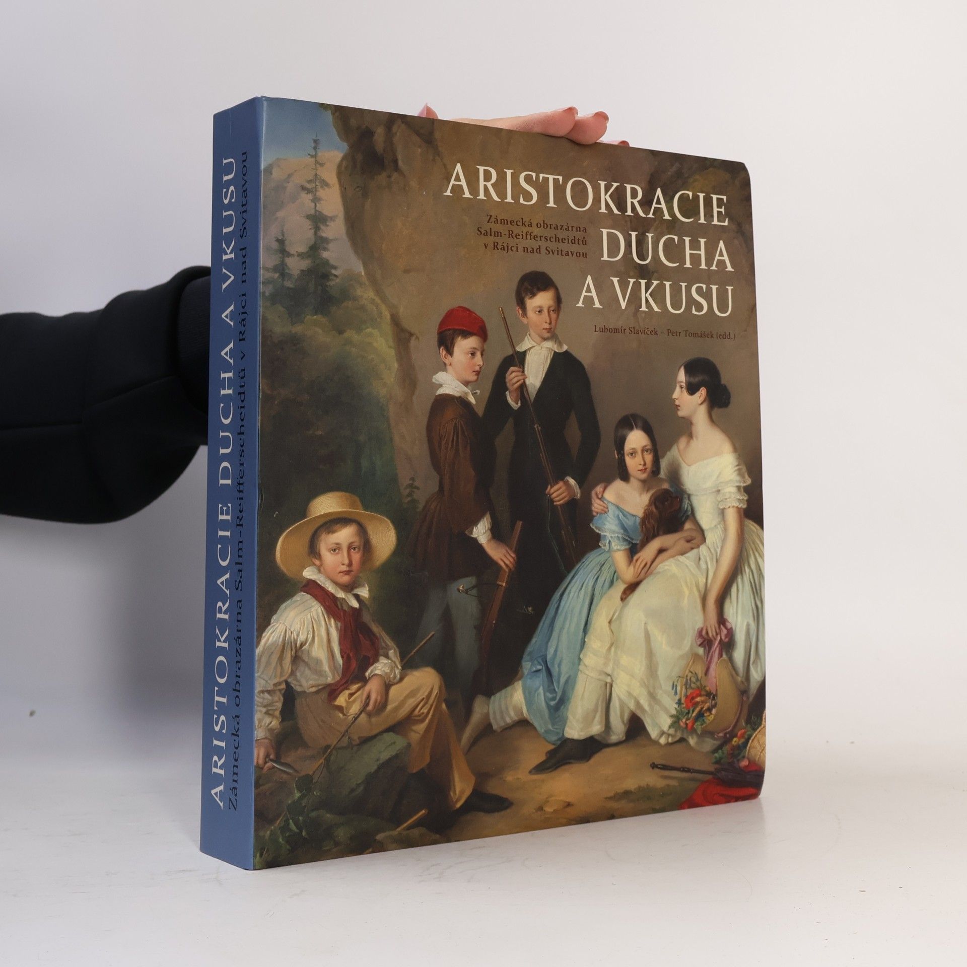 Petr Tomášek Aristokracie ducha a vkusu. Zámecká obrazárna Salm-Reifferscheidtů v Rájci nad Svitavou