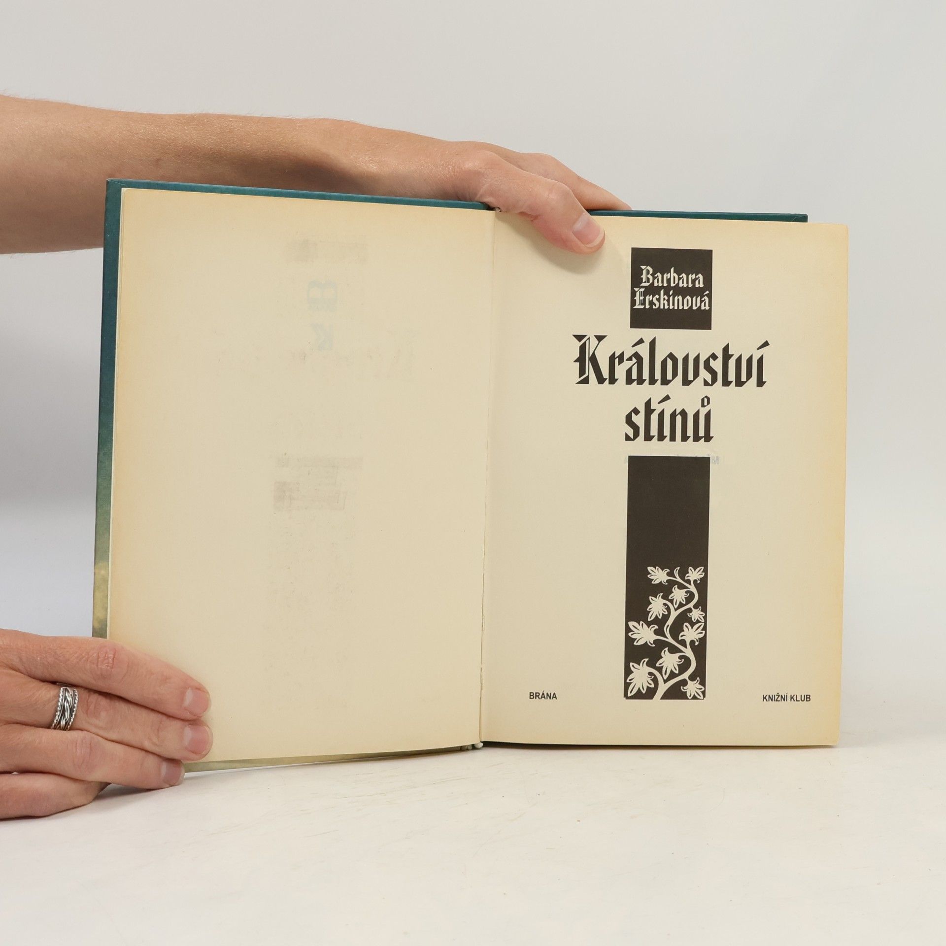 Barbara Erskine Království stínů