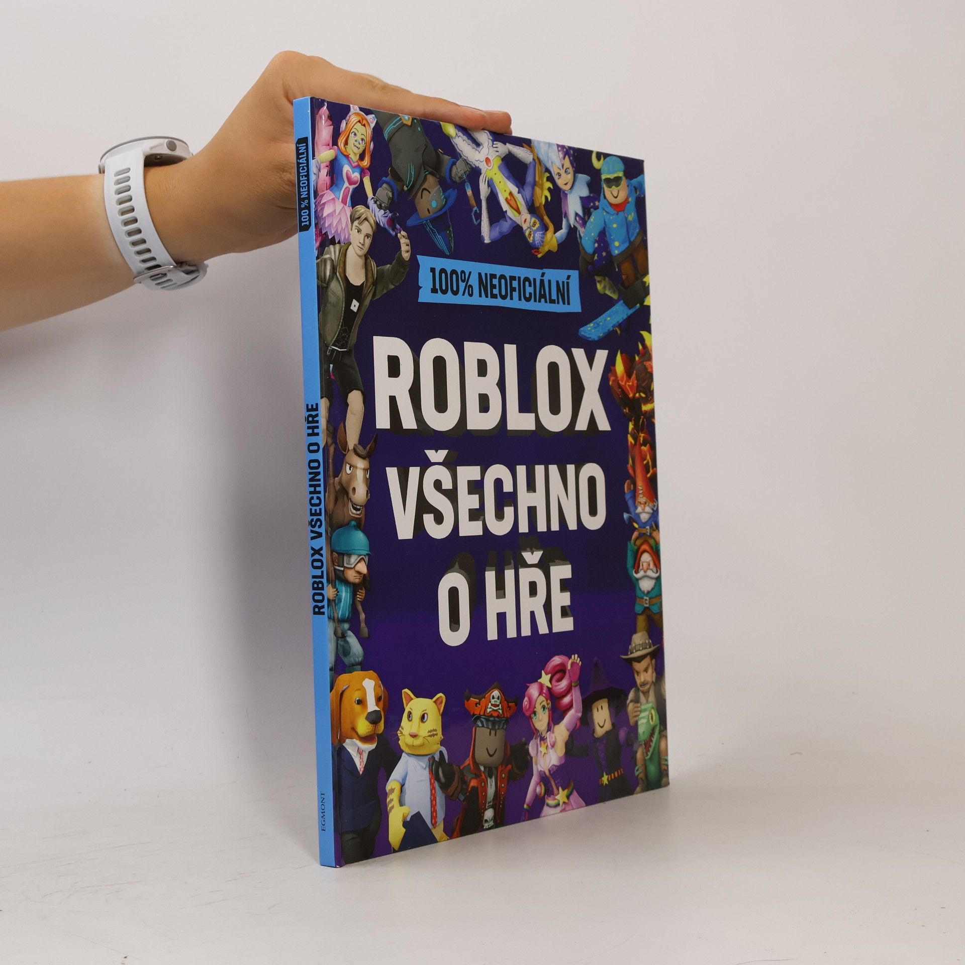 Matt Burgess 100% neoficiální Roblox : všechno o hře