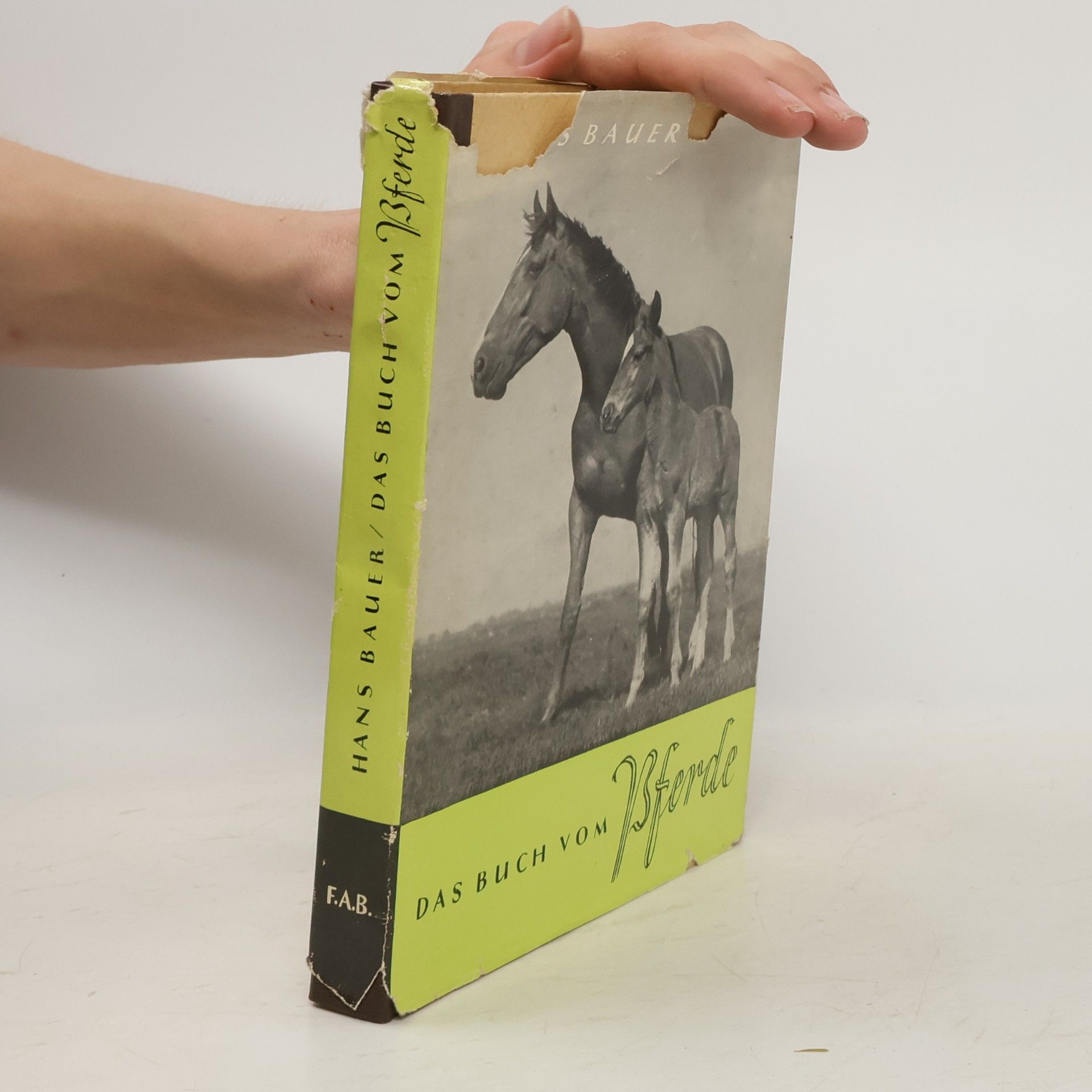 Hans Bauer Das Buch vom Pferde