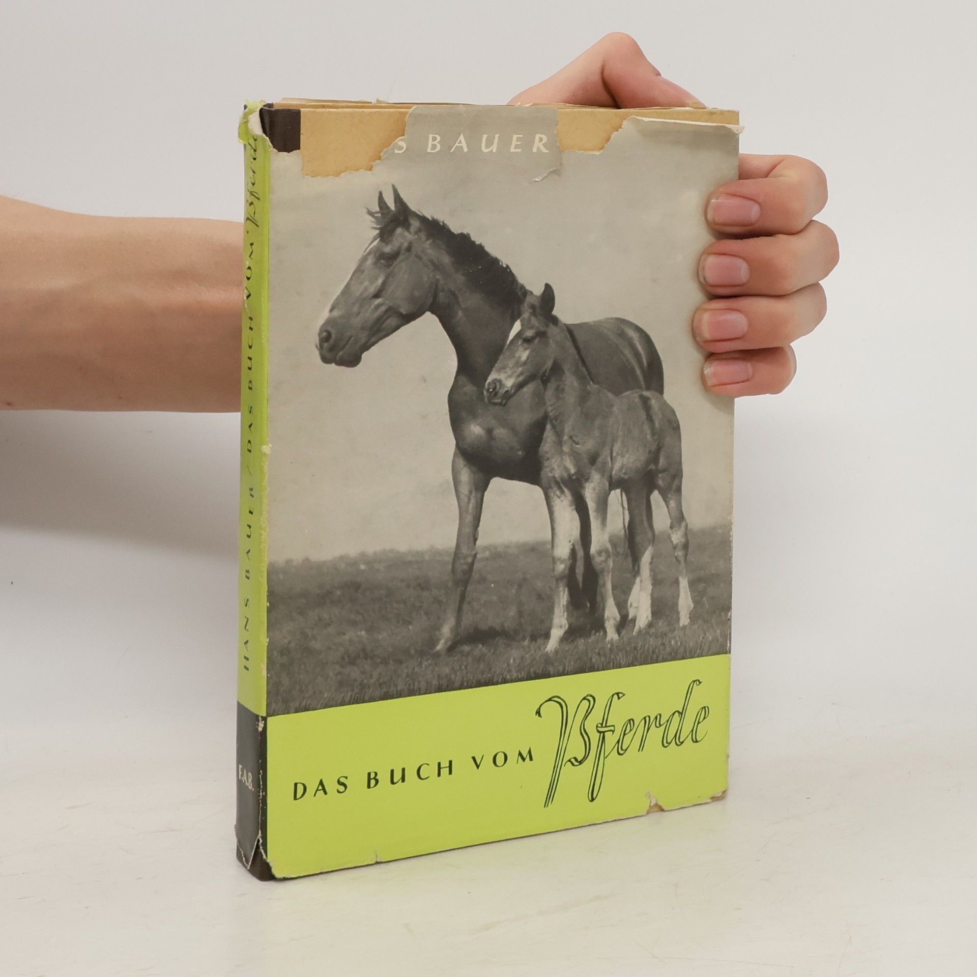 Hans Bauer Das Buch vom Pferde