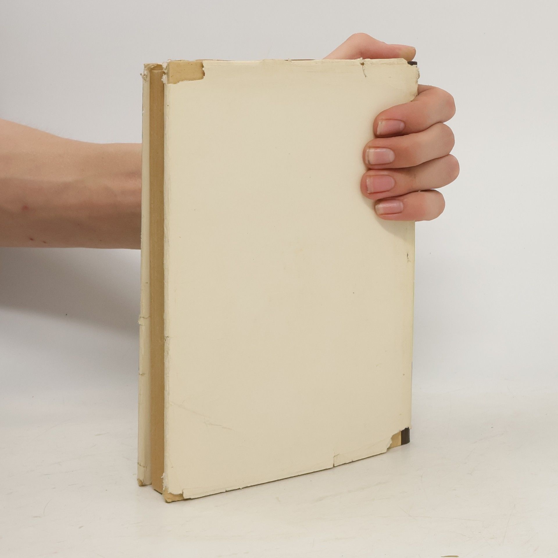 Hans Bauer Das Buch vom Pferde