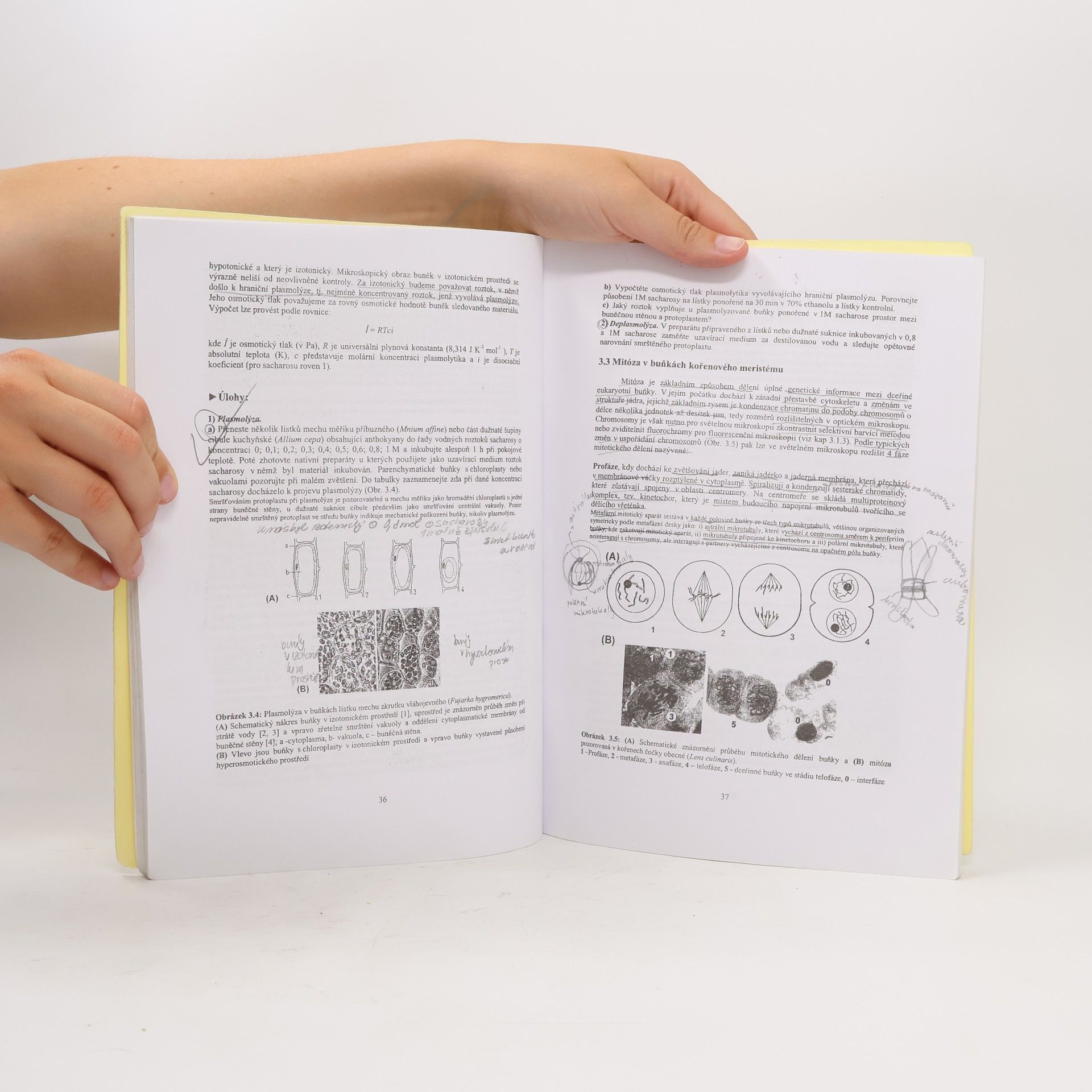 Collectif d'auteurs Návody ke cvičením z biologie