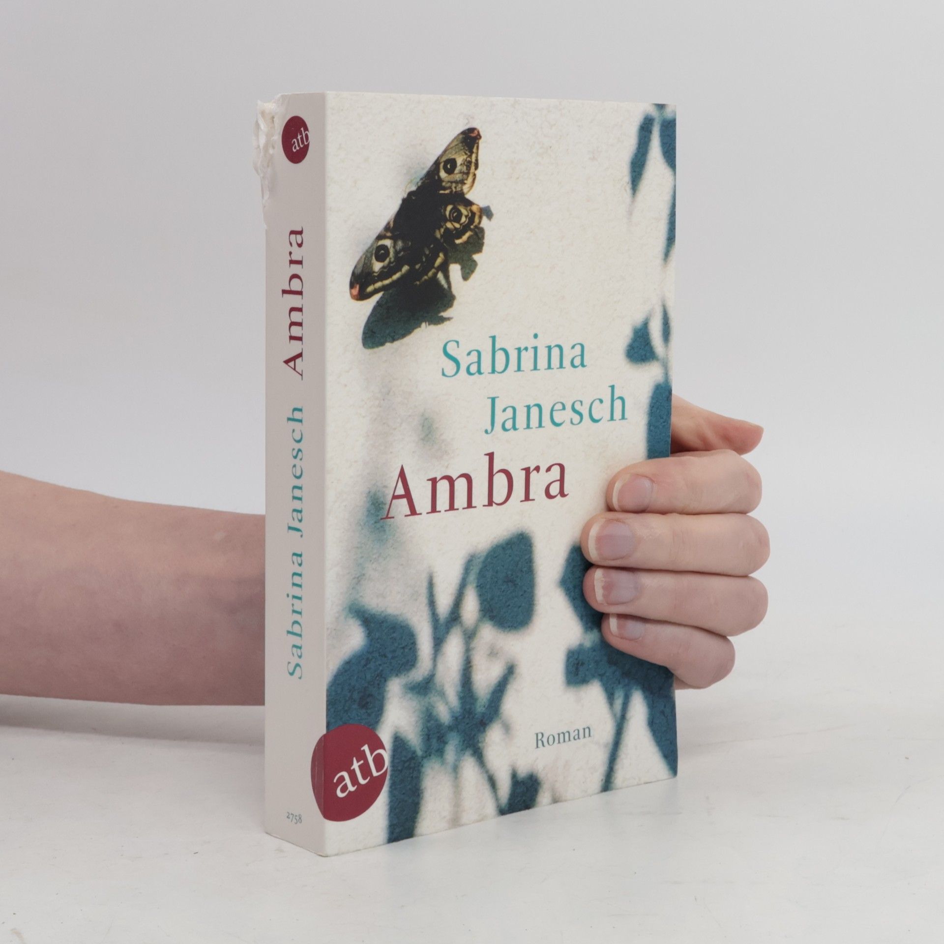 Sabrina Janesch Ambra