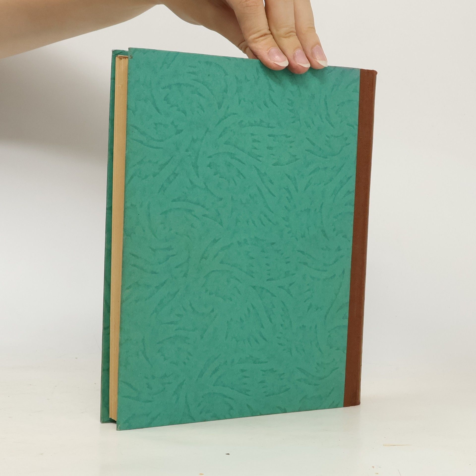 Karel Klostermann Skláři