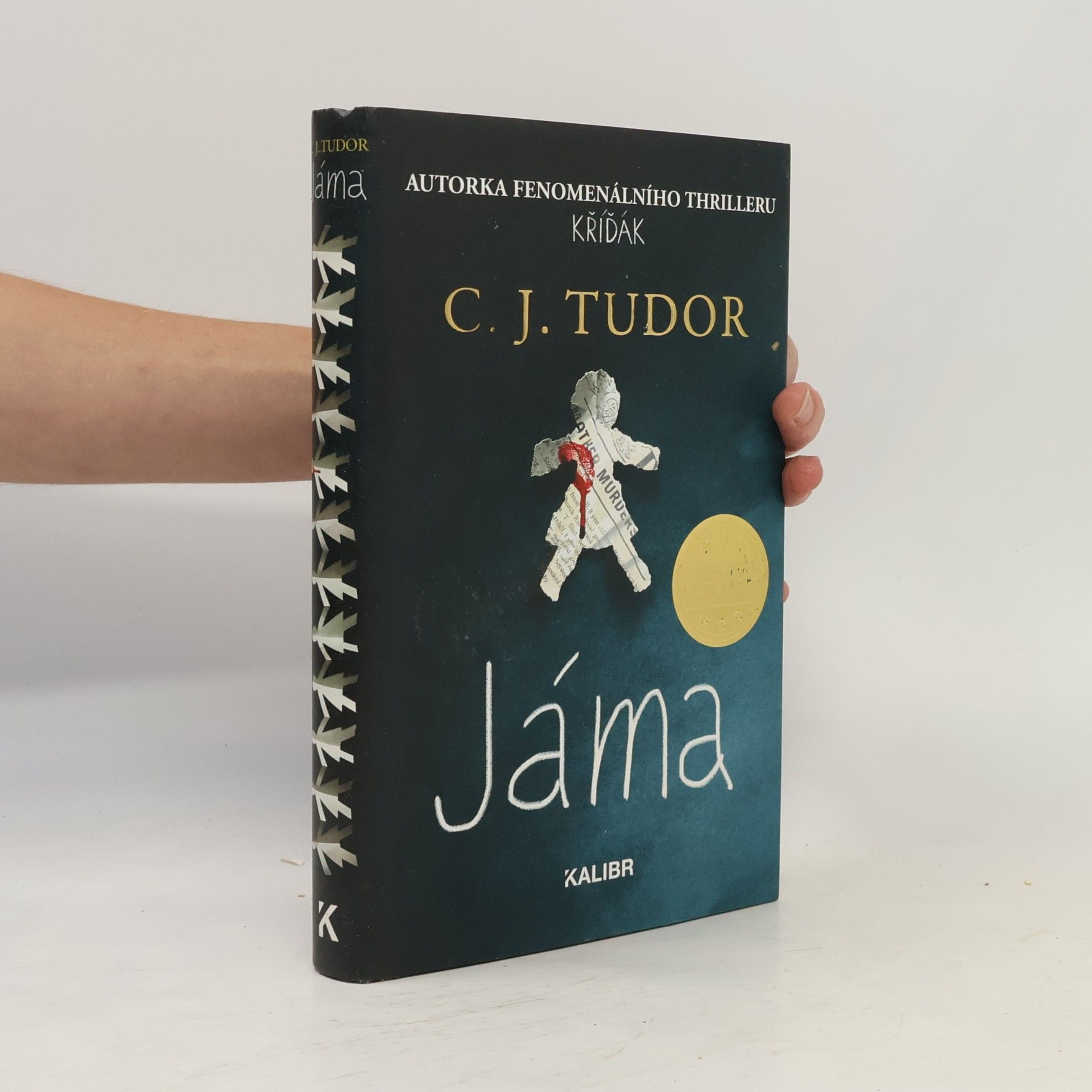 C. J. Tudor Jáma