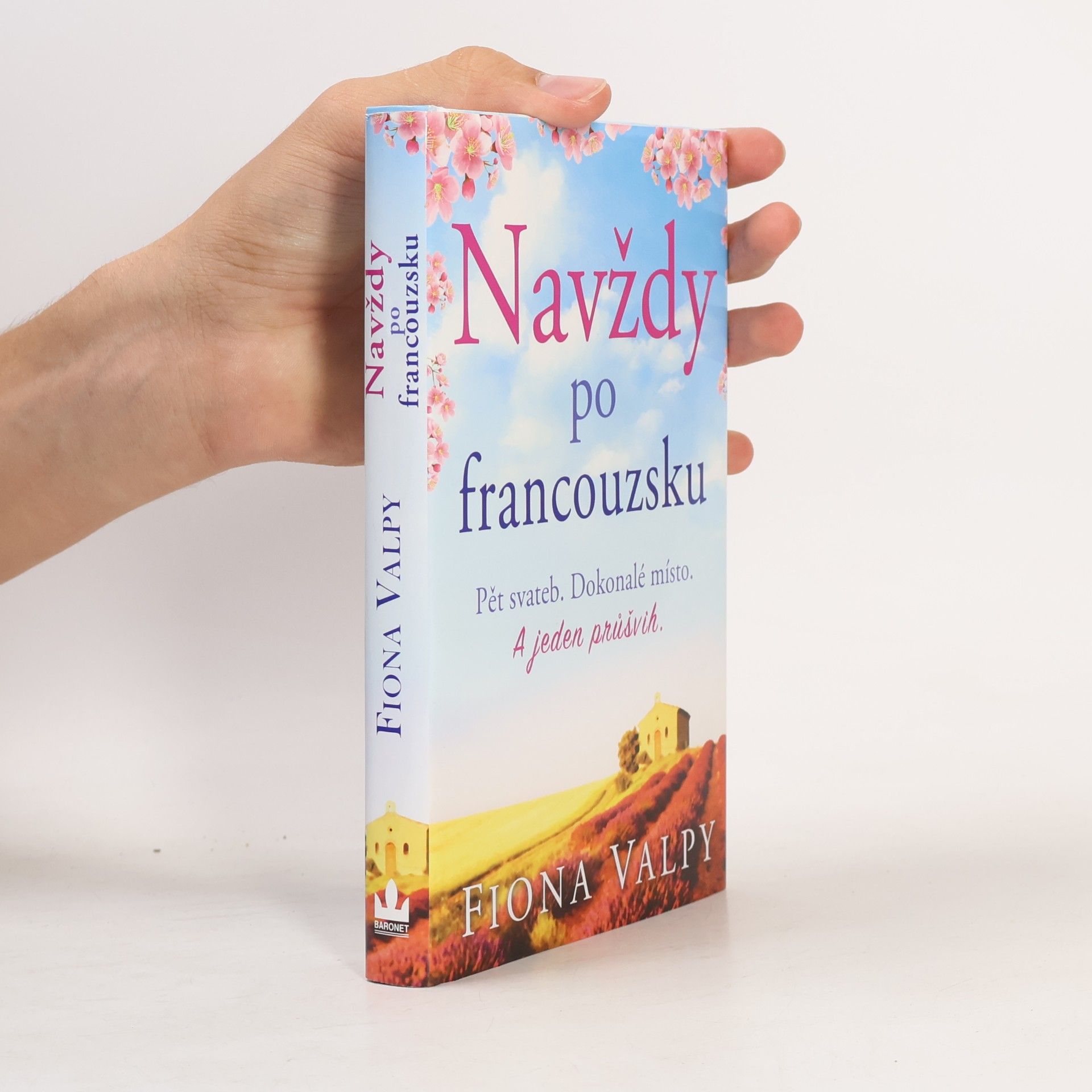 Fiona Valpy Navždy po francouzsku