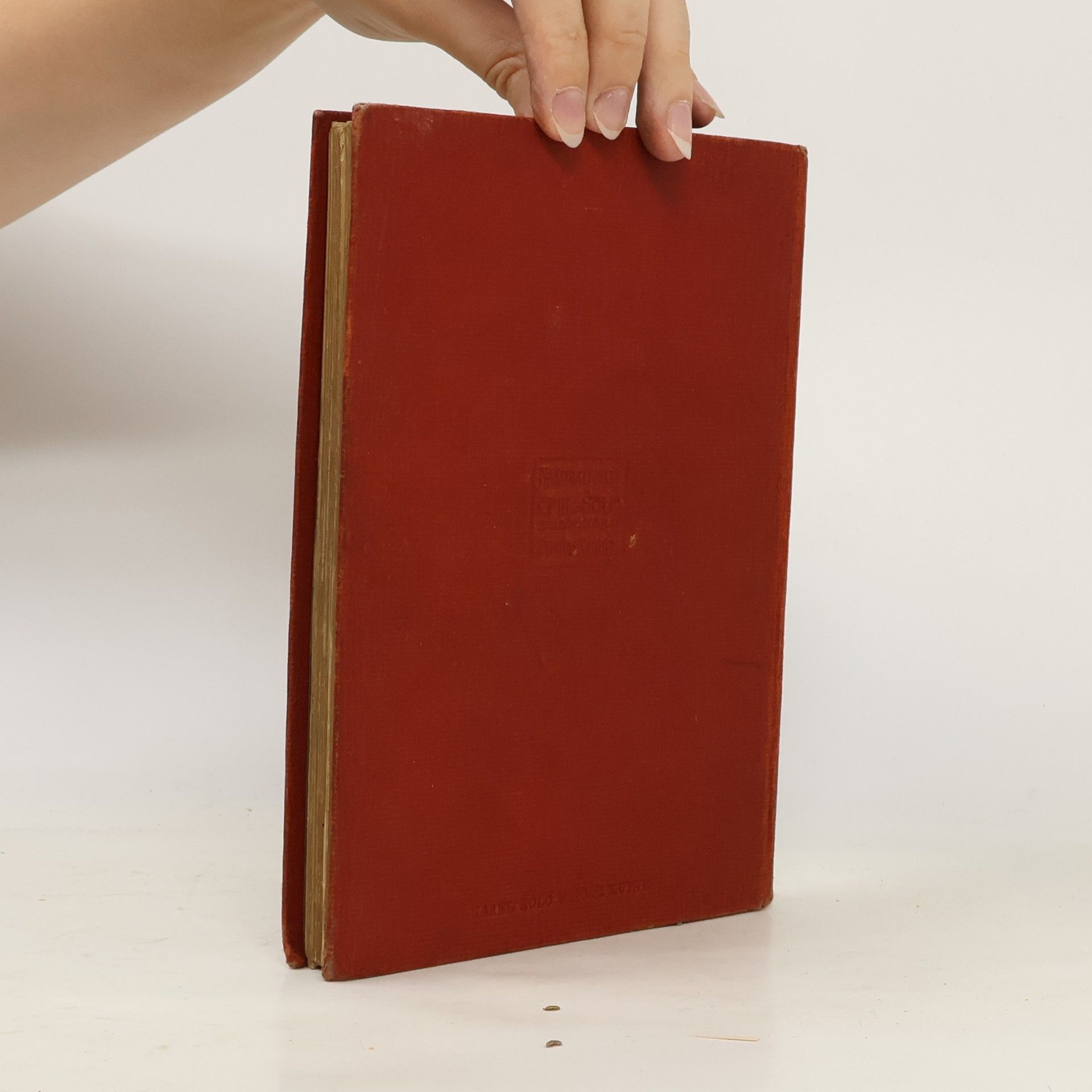 Frances Hodgson Burnett Malý Lord