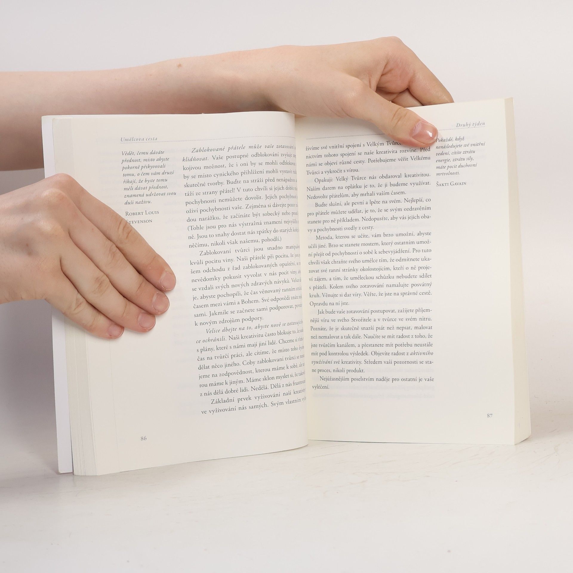 Julia Cameron Umělcova cesta. Duchovní cesta k vyšší kreativitě