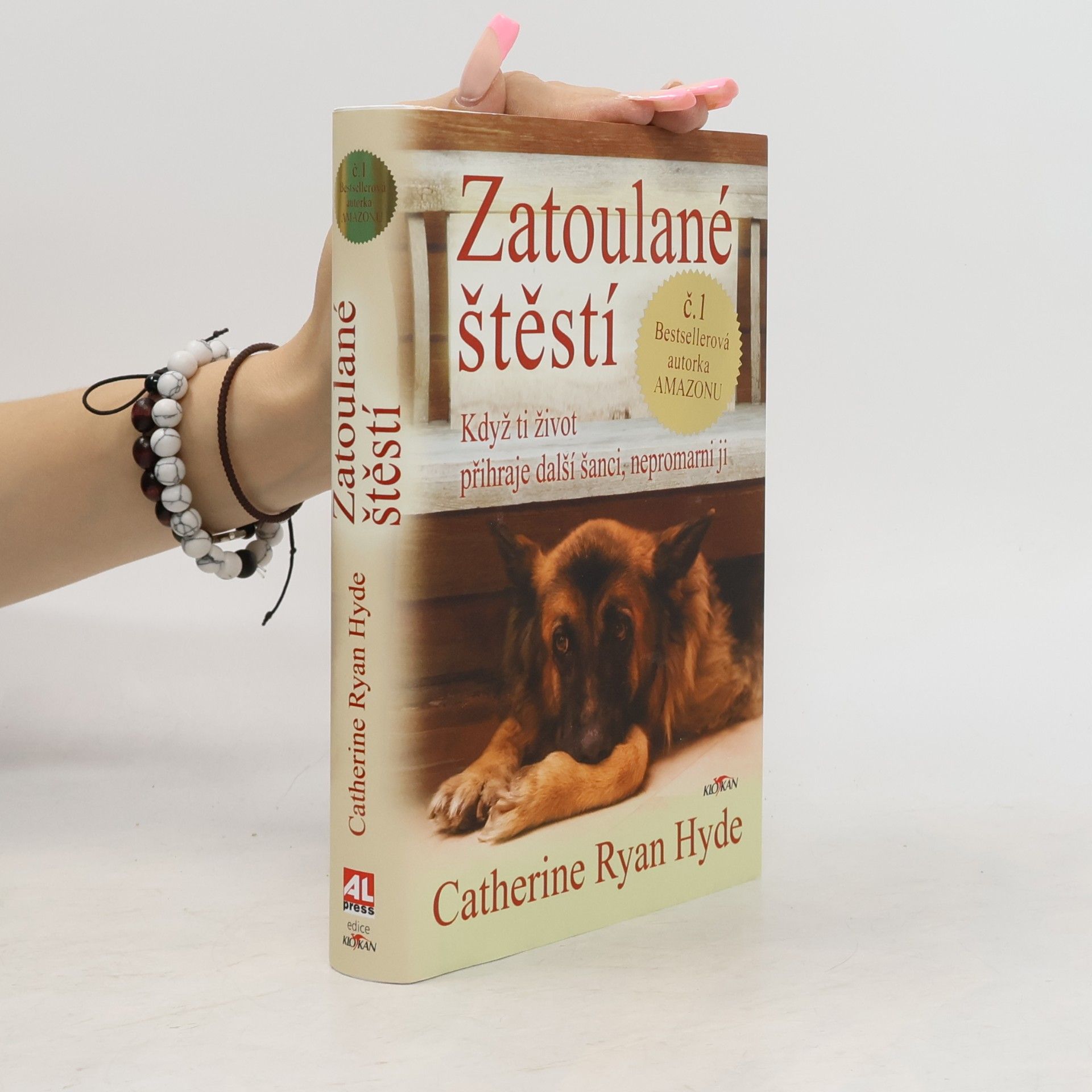 Catherine Ryan Hyde Zatoulané štěstí : když ti život přihraje další šanci, nepromarni ji