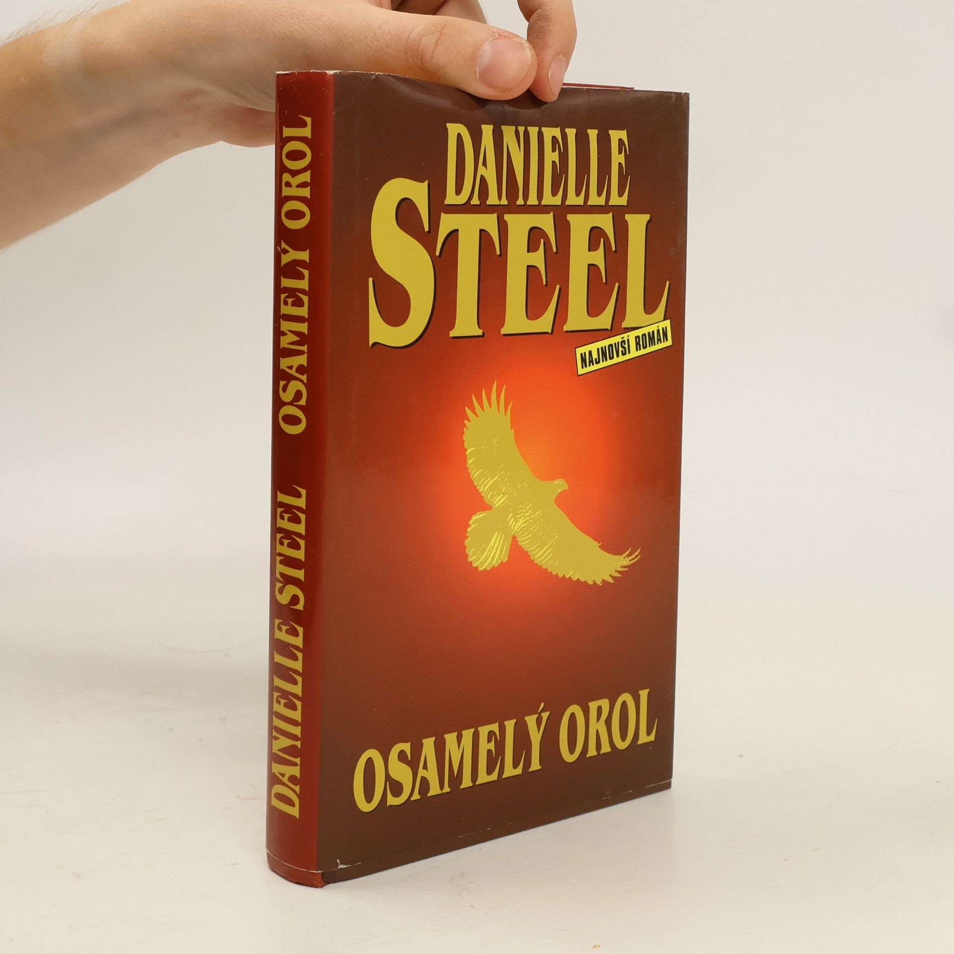 Danielle Steel Osamelý orol