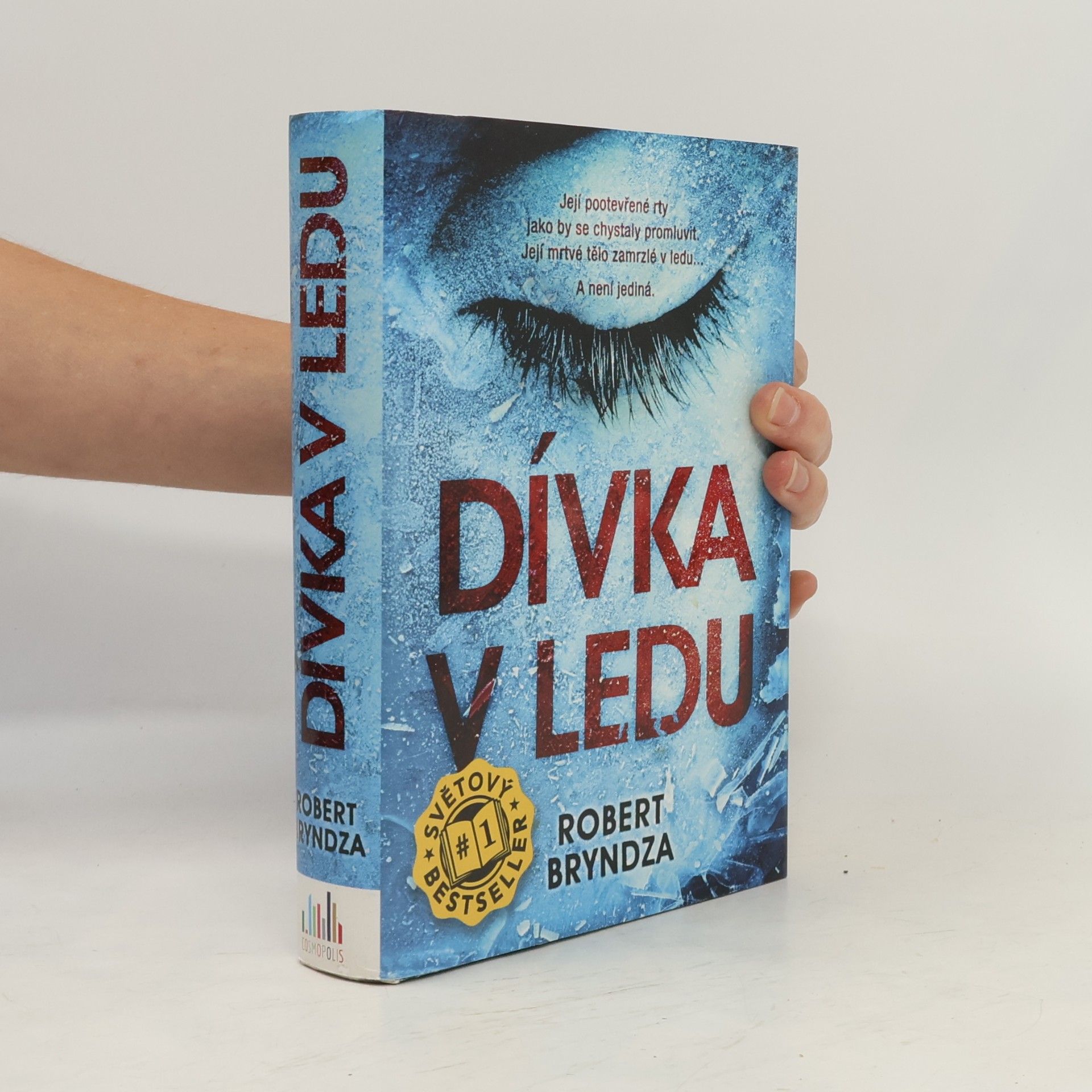 Robert Bryndza Dívka v ledu