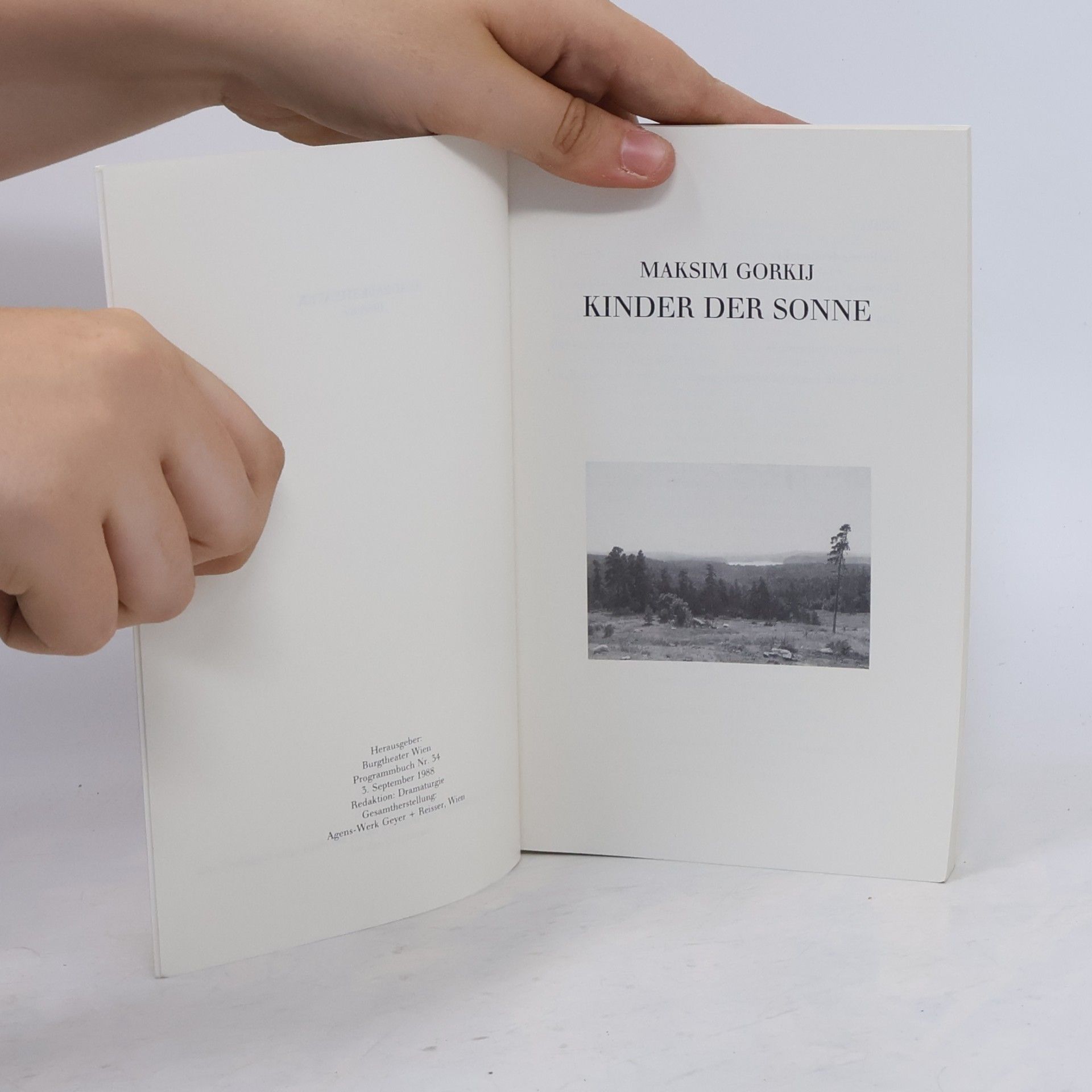 Maxim Gorkij Kinder der Sonne