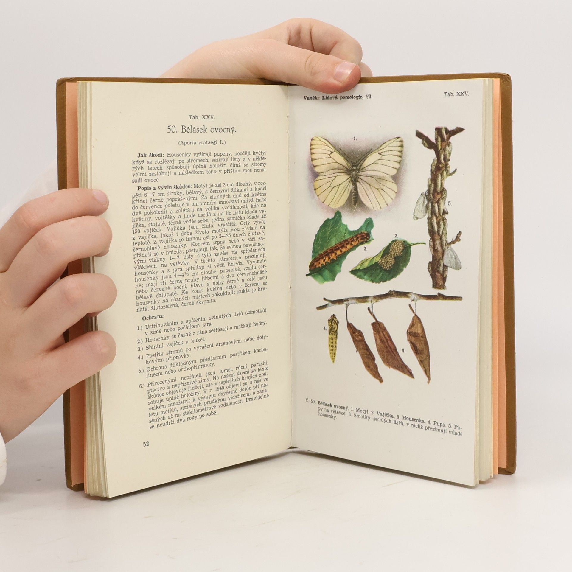 Josef Vaněk ČS. lidová pomologie. VI. díl. Choroby a škůdci