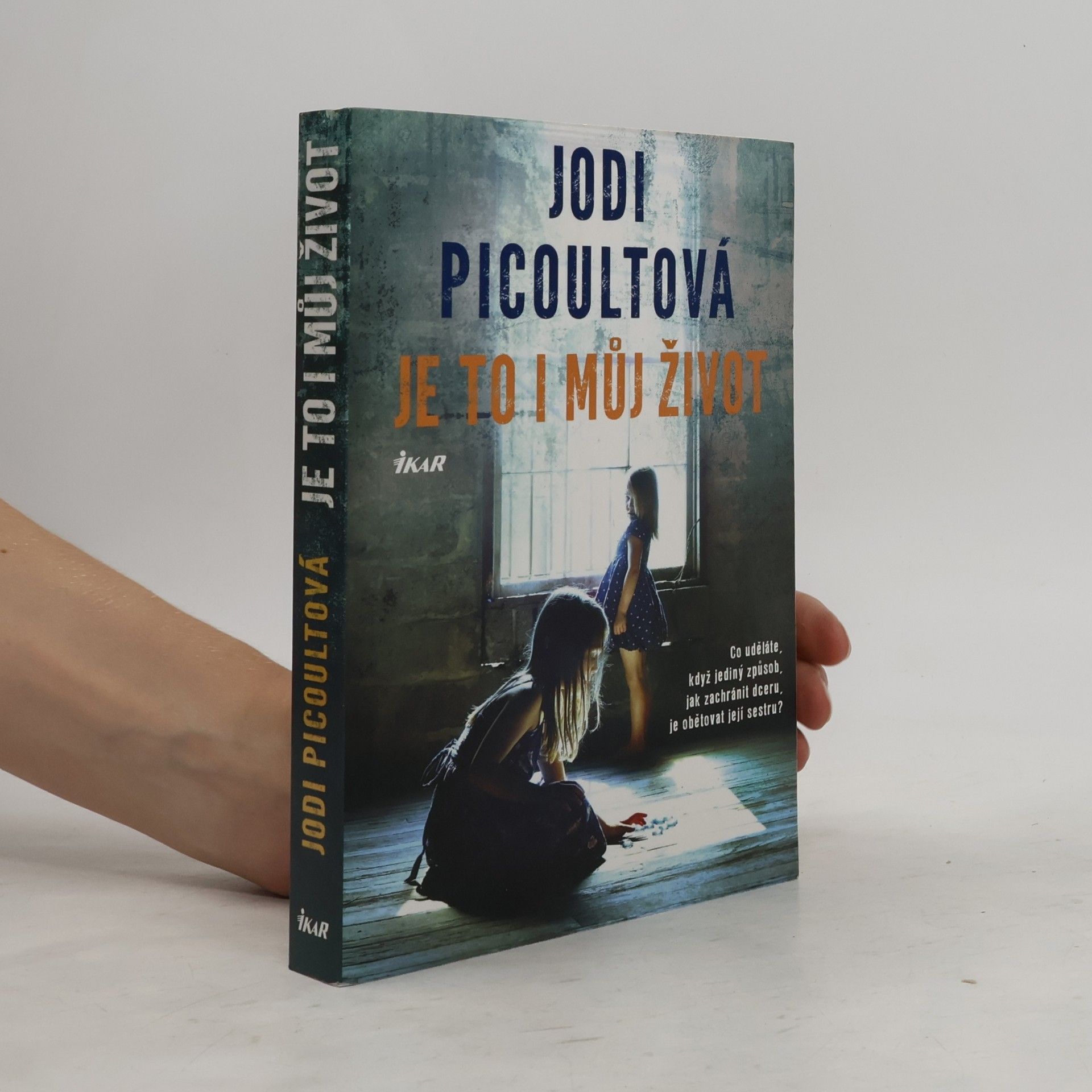 Jodi Picoult Je to i můj život