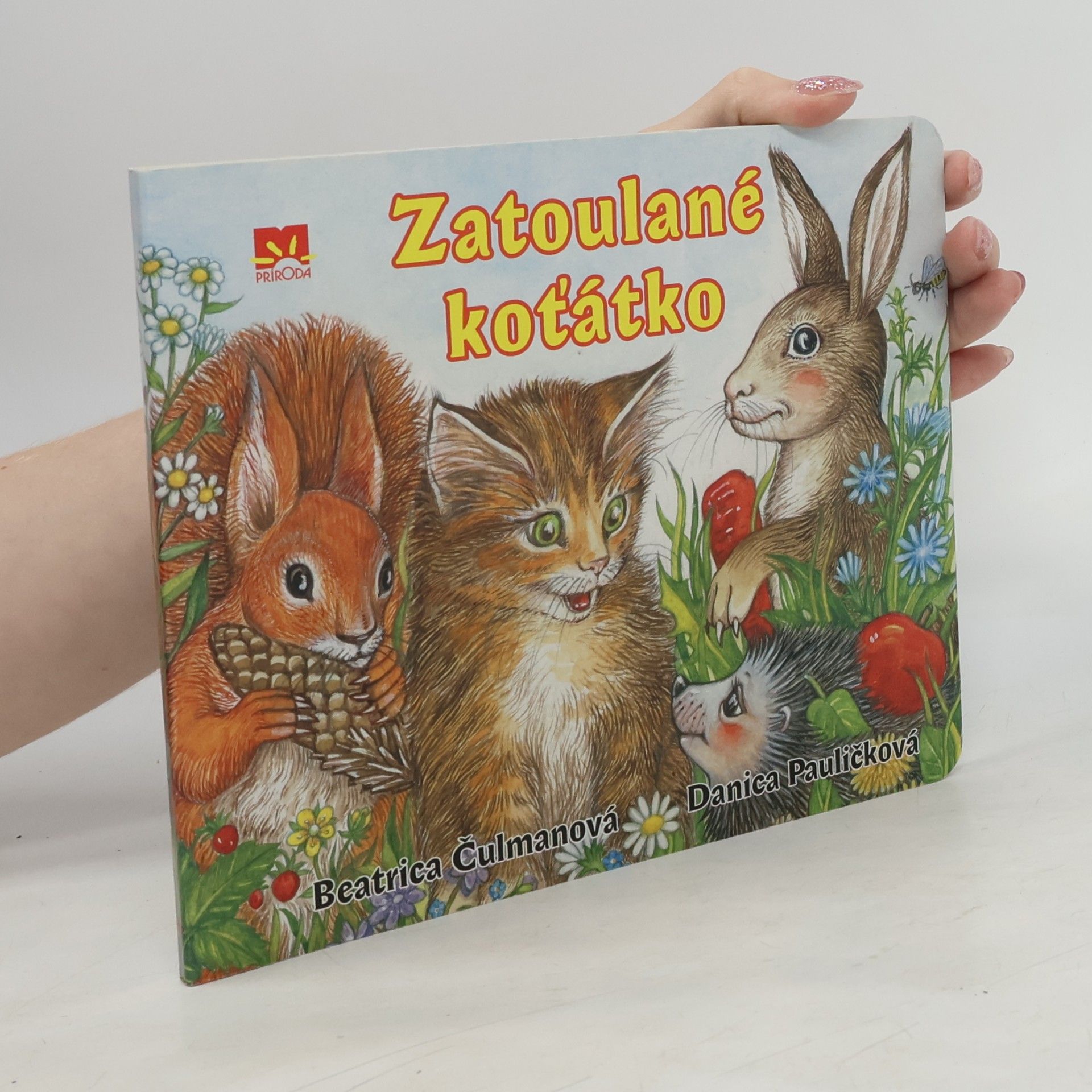 Danica Pauličková Zatoulané koťátko