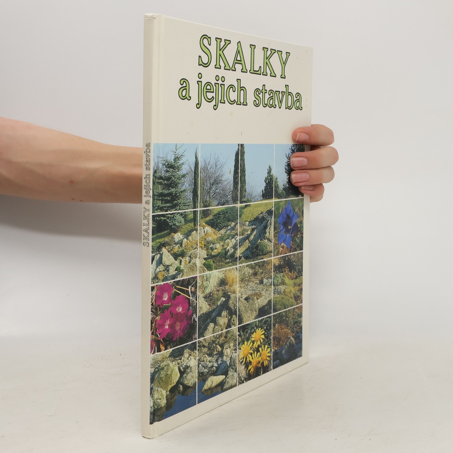 Vojtěch Holubec Skalky a jejich stavba