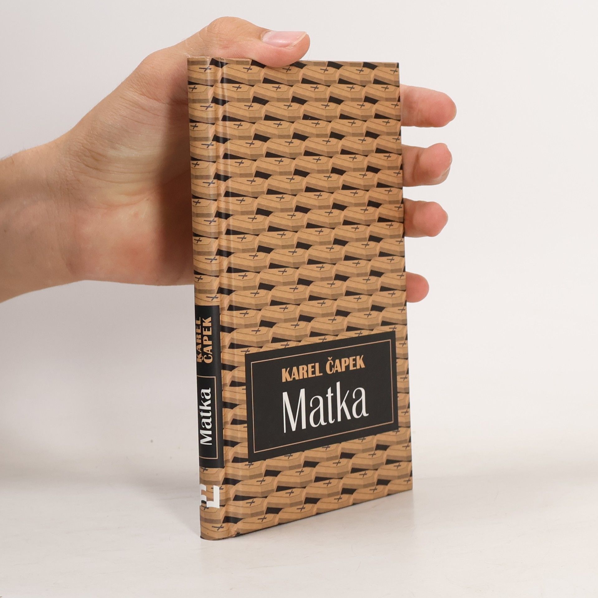 Karel Čapek Matka