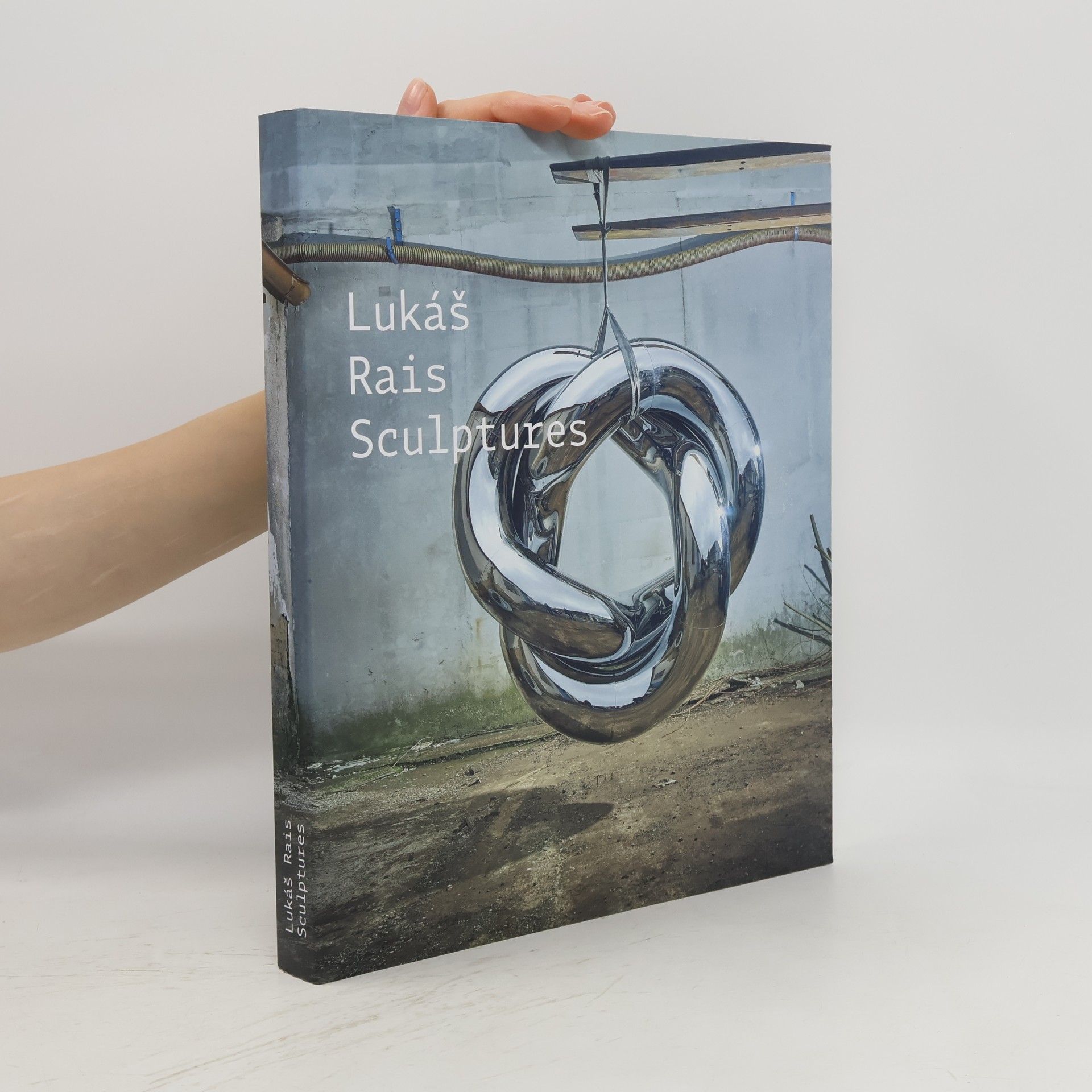 Lukáš Rais Lukáš Rais : Sculptures