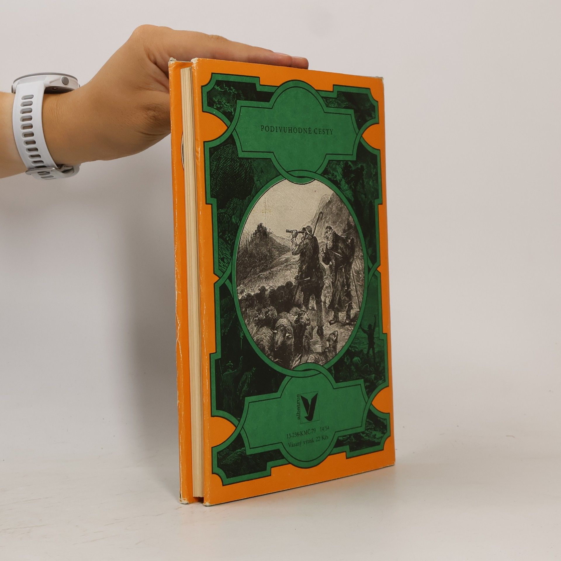 Jules Verne Tajemný hrad v Karpatech