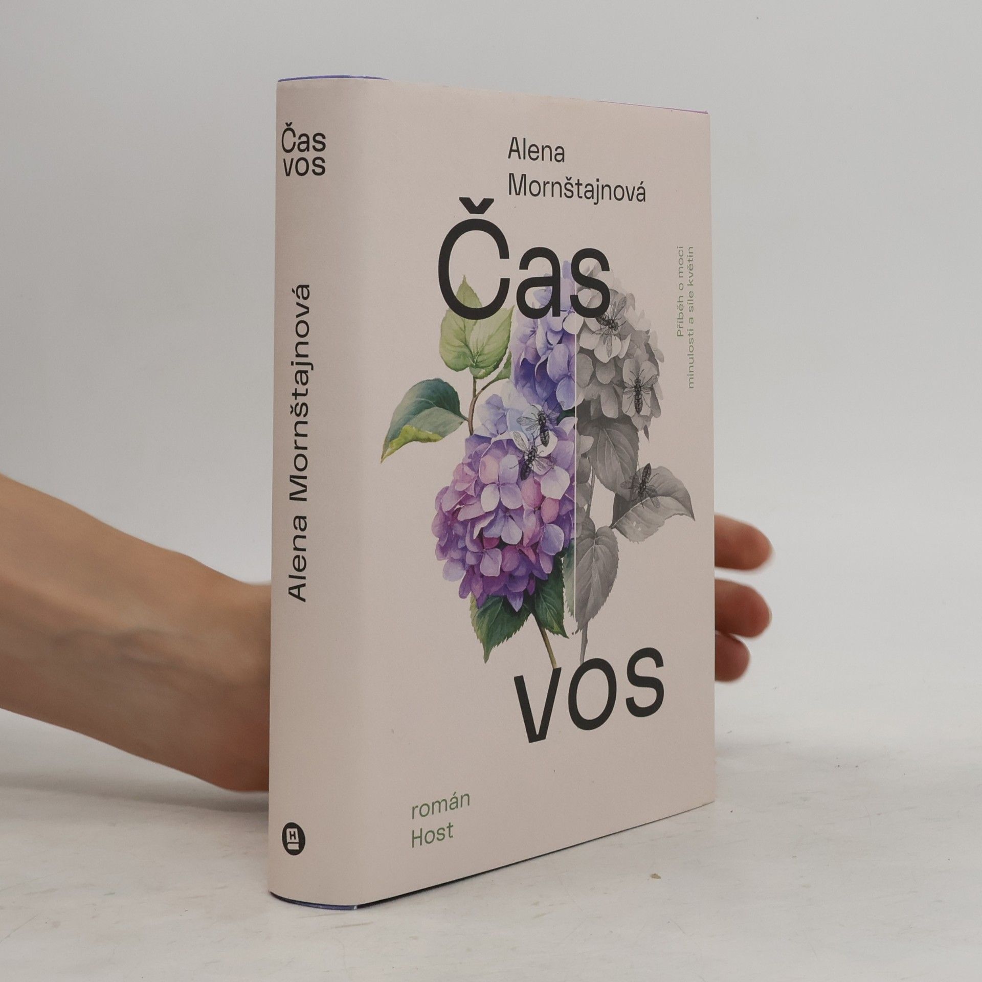 Alena Mornštajnová Čas vos