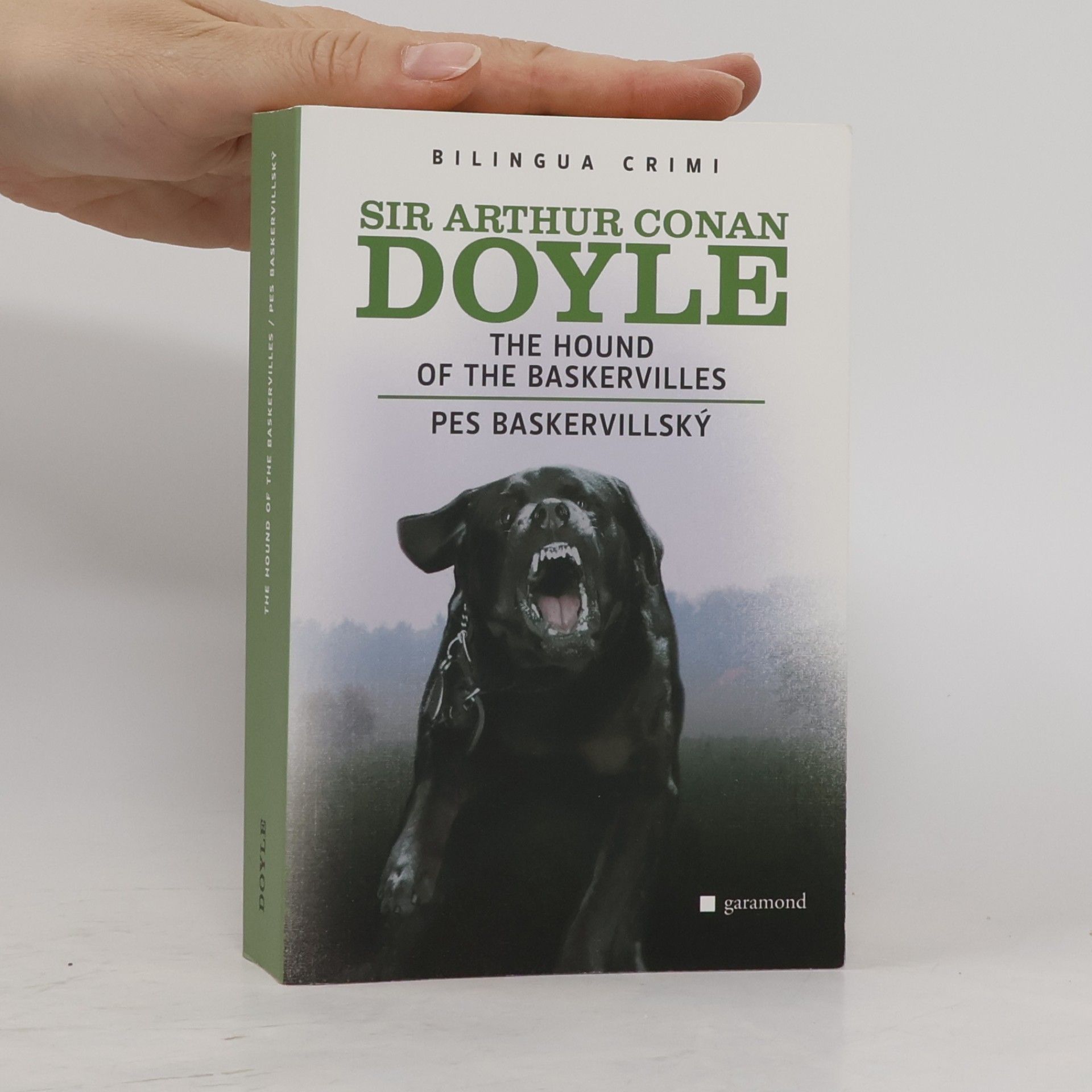 Arthur Conan Doyle The Hound of The Baskervilles. Pes baskervillský