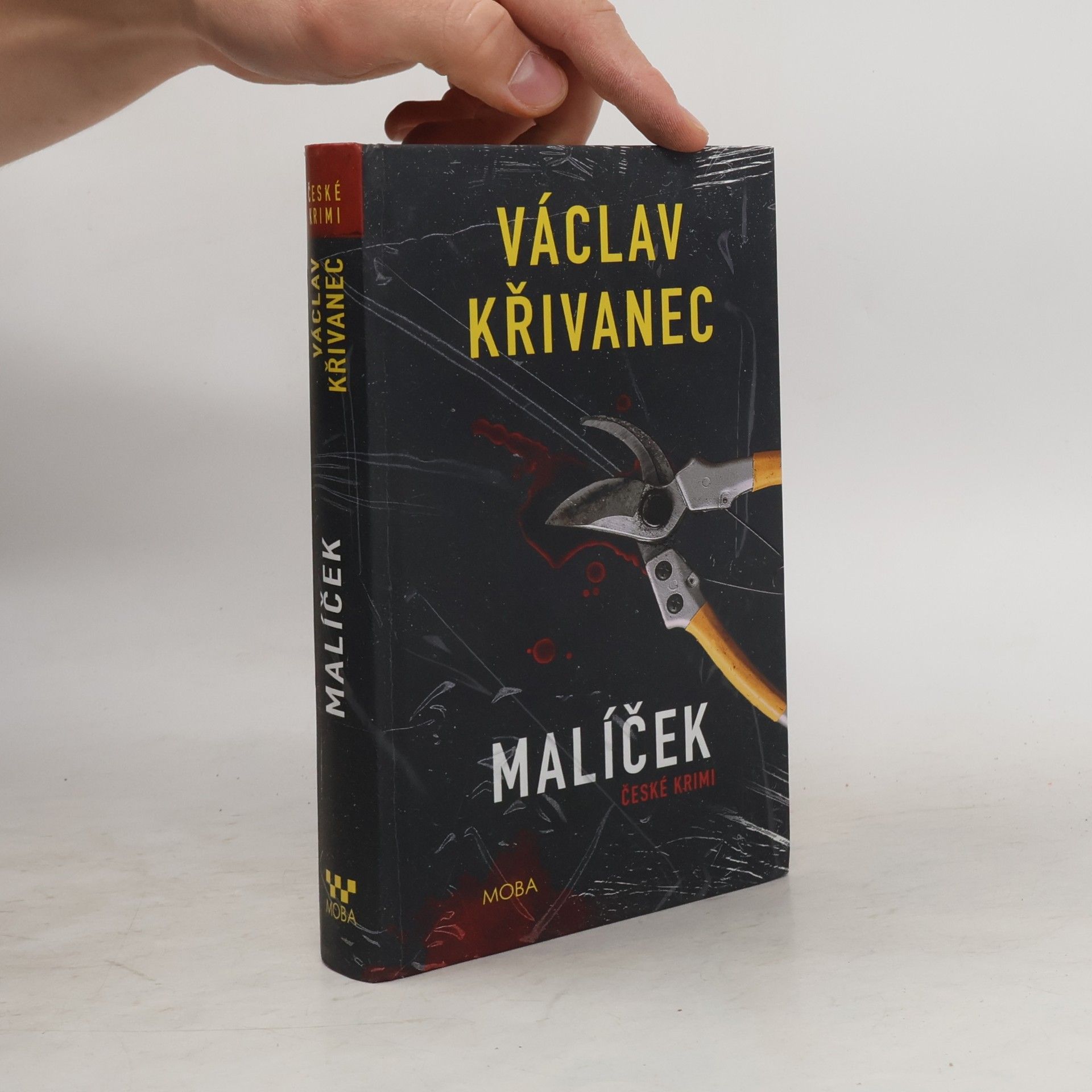 Václav Křivanec Malíček