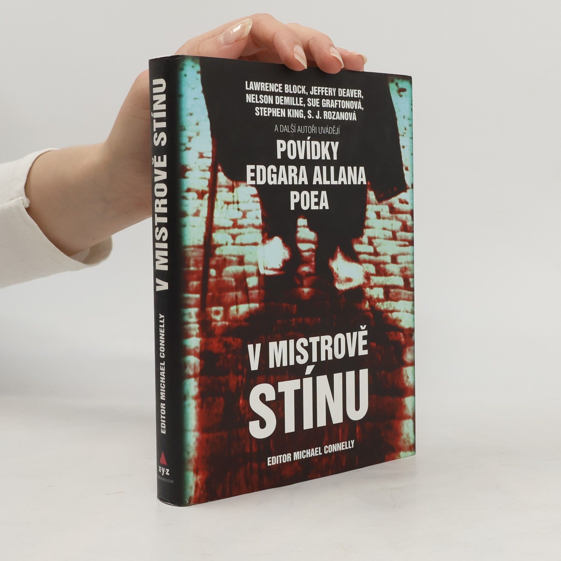 V mistrově stínu