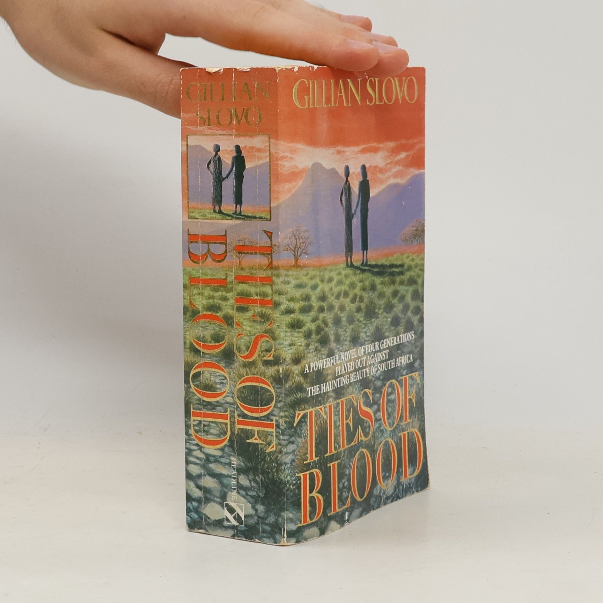 Gillian Slovo Ties of Blood