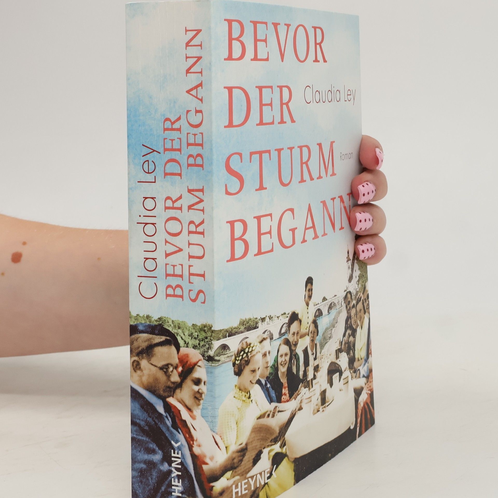 Claudia Ley Bevor der Sturm begann