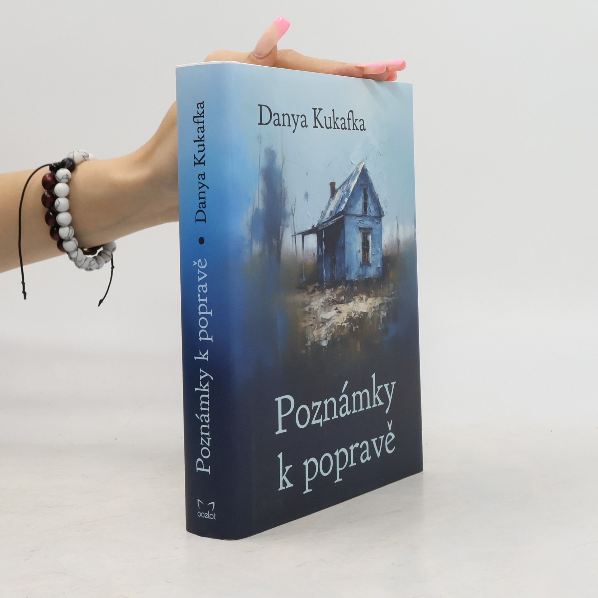 Danya Kukafka Poznámky k popravě