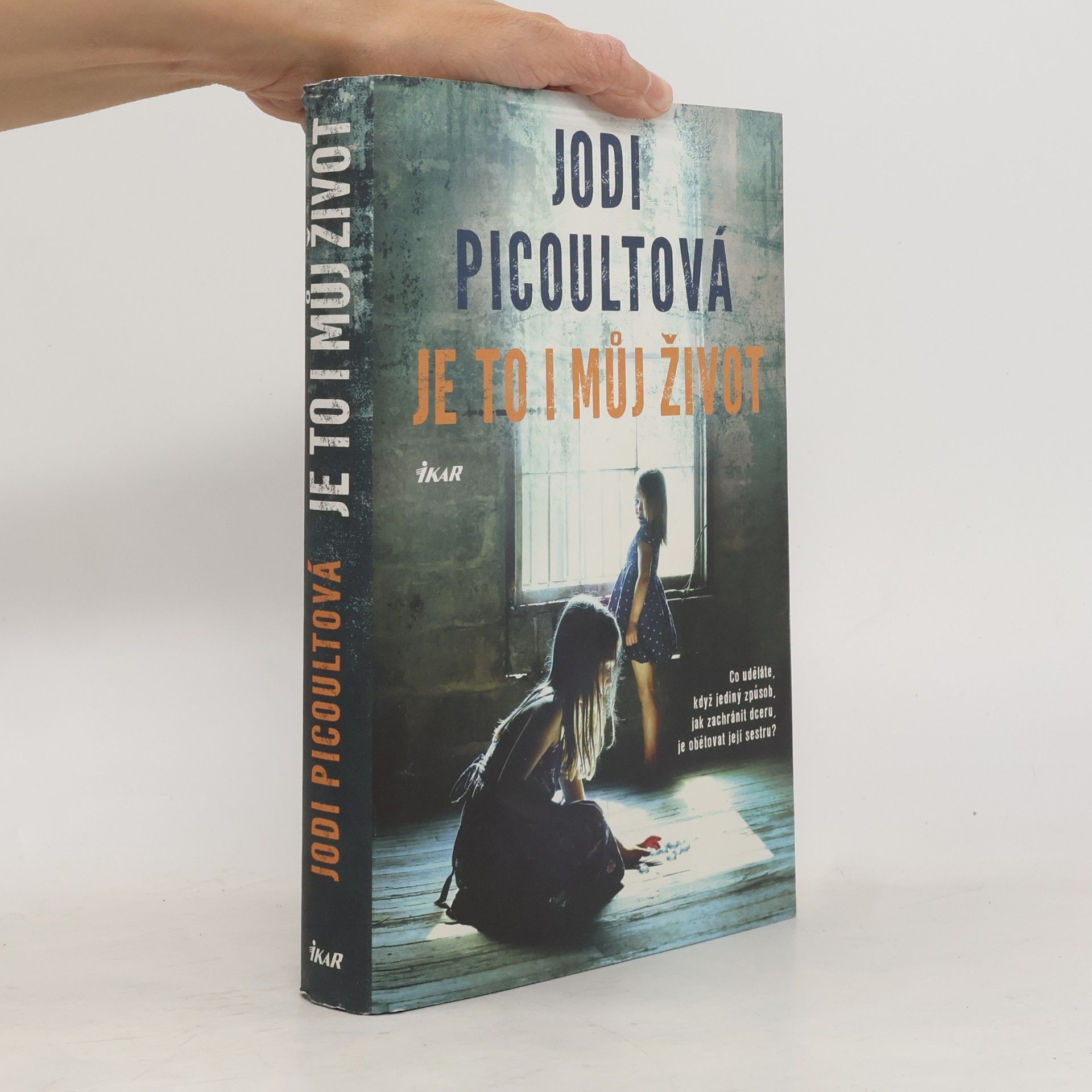 Jodi Picoult Je to i můj život