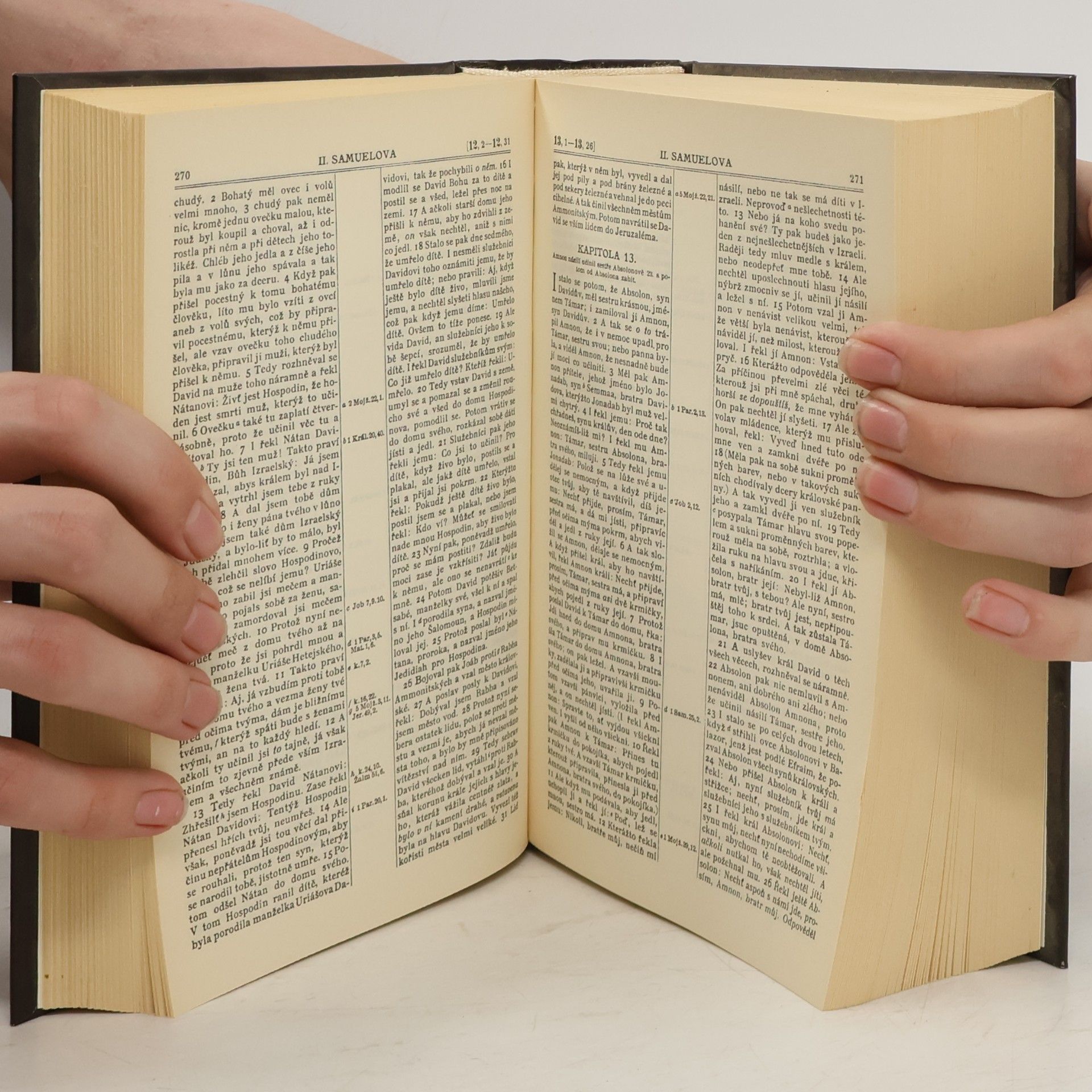 Autorenkollektiv Bible svatá, aneb, Všecka svatá písma Starého i Nového zákona