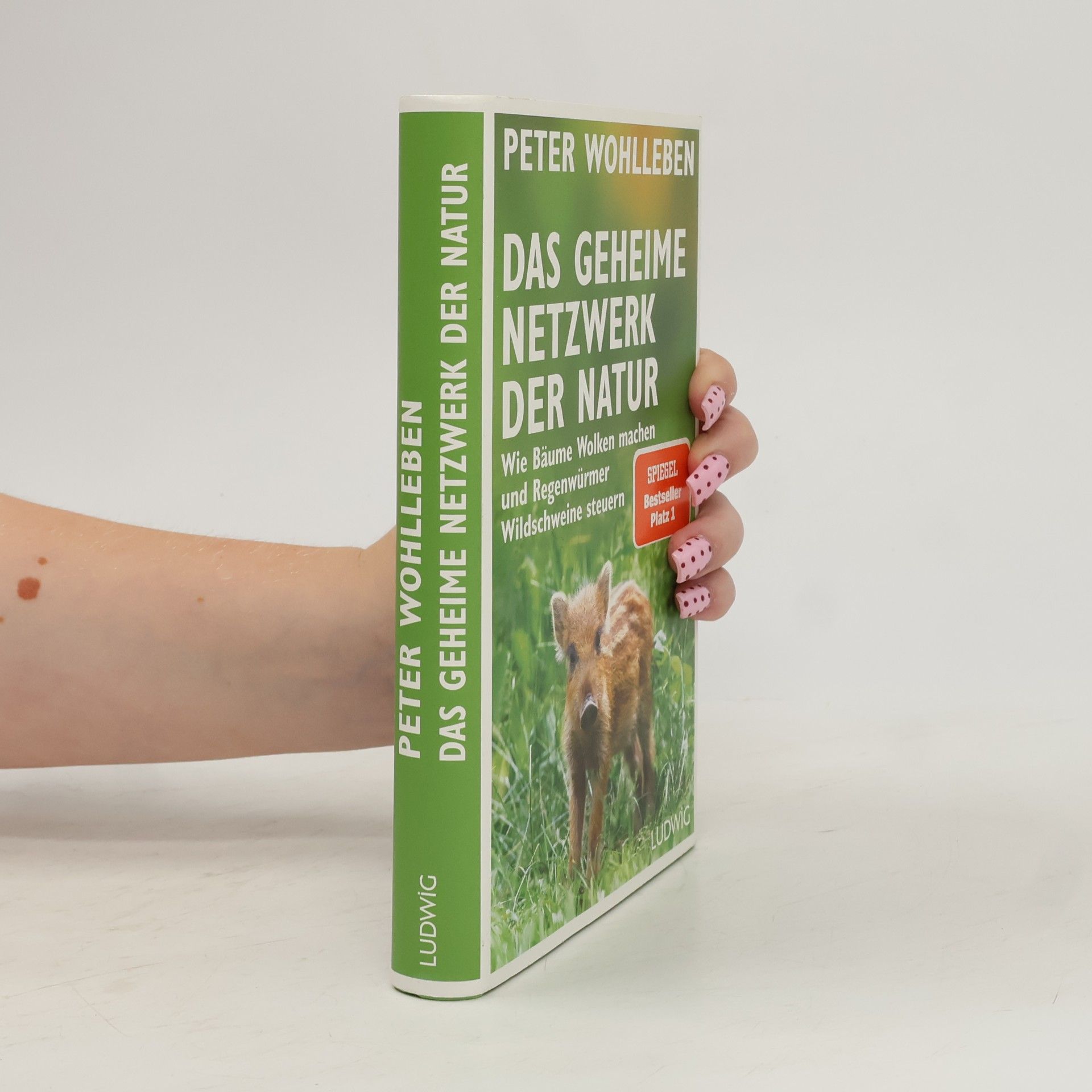 Peter Wohlleben Das geheime Netzwerk der Natur