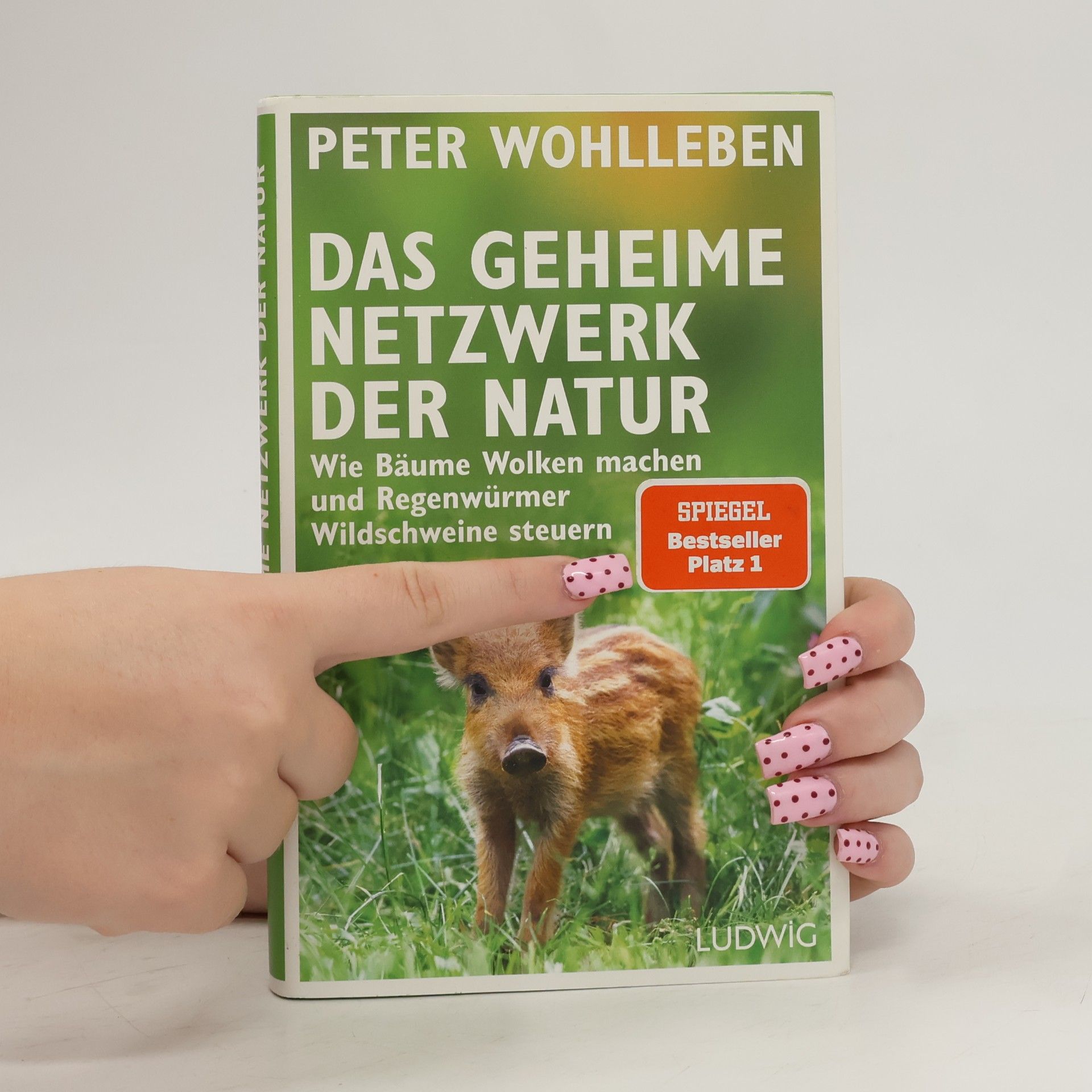 Peter Wohlleben Das geheime Netzwerk der Natur
