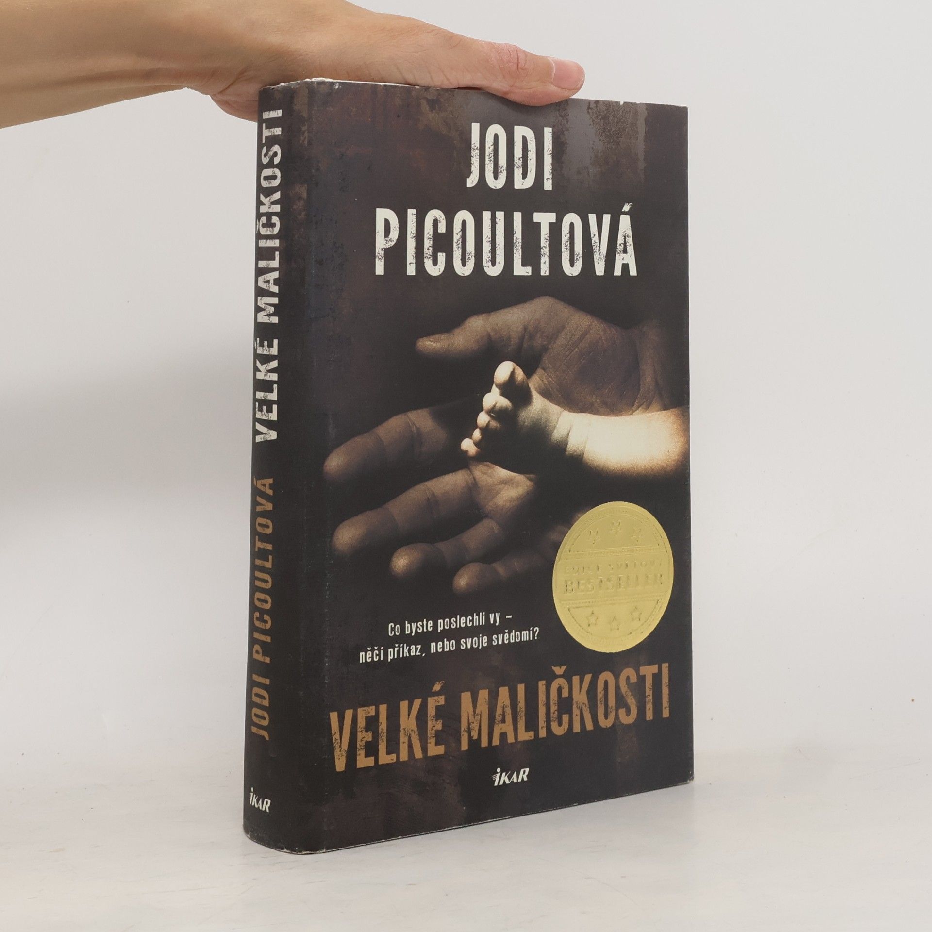 Jodi Picoult Velké maličkosti