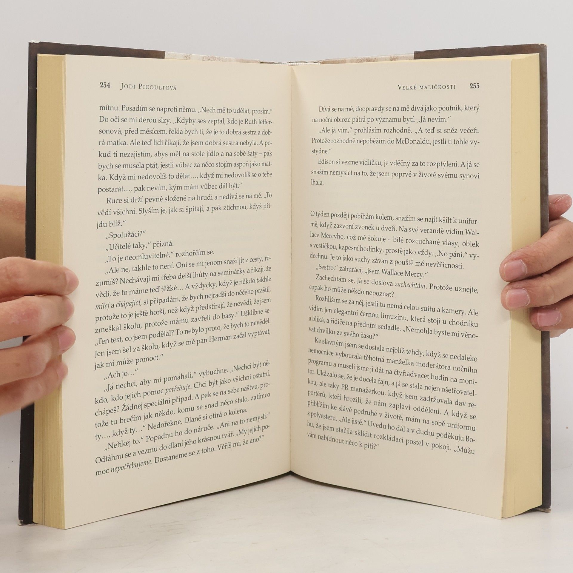 Jodi Picoult Velké maličkosti