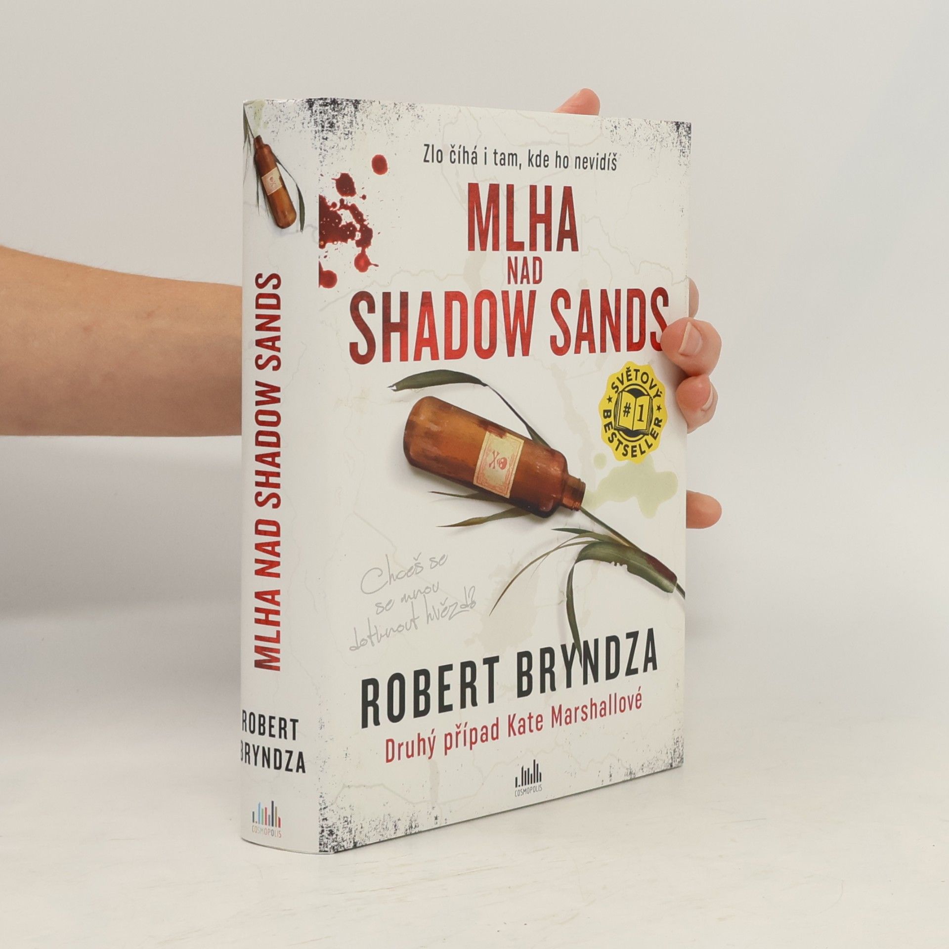 Robert Bryndza Mlha nad Shadow Sands