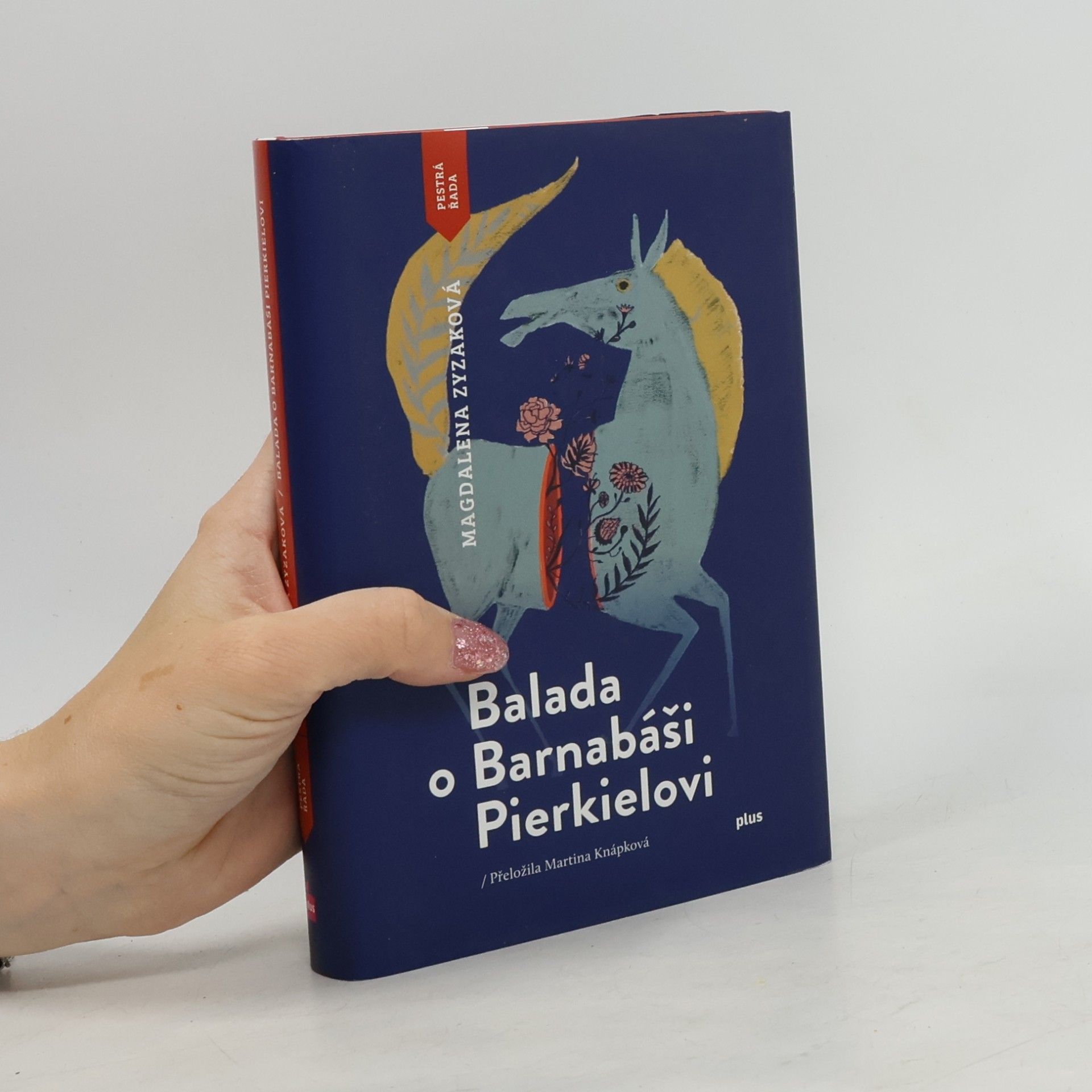 Magdalena Zyzak Balada o Barnabáši Pierkielovi