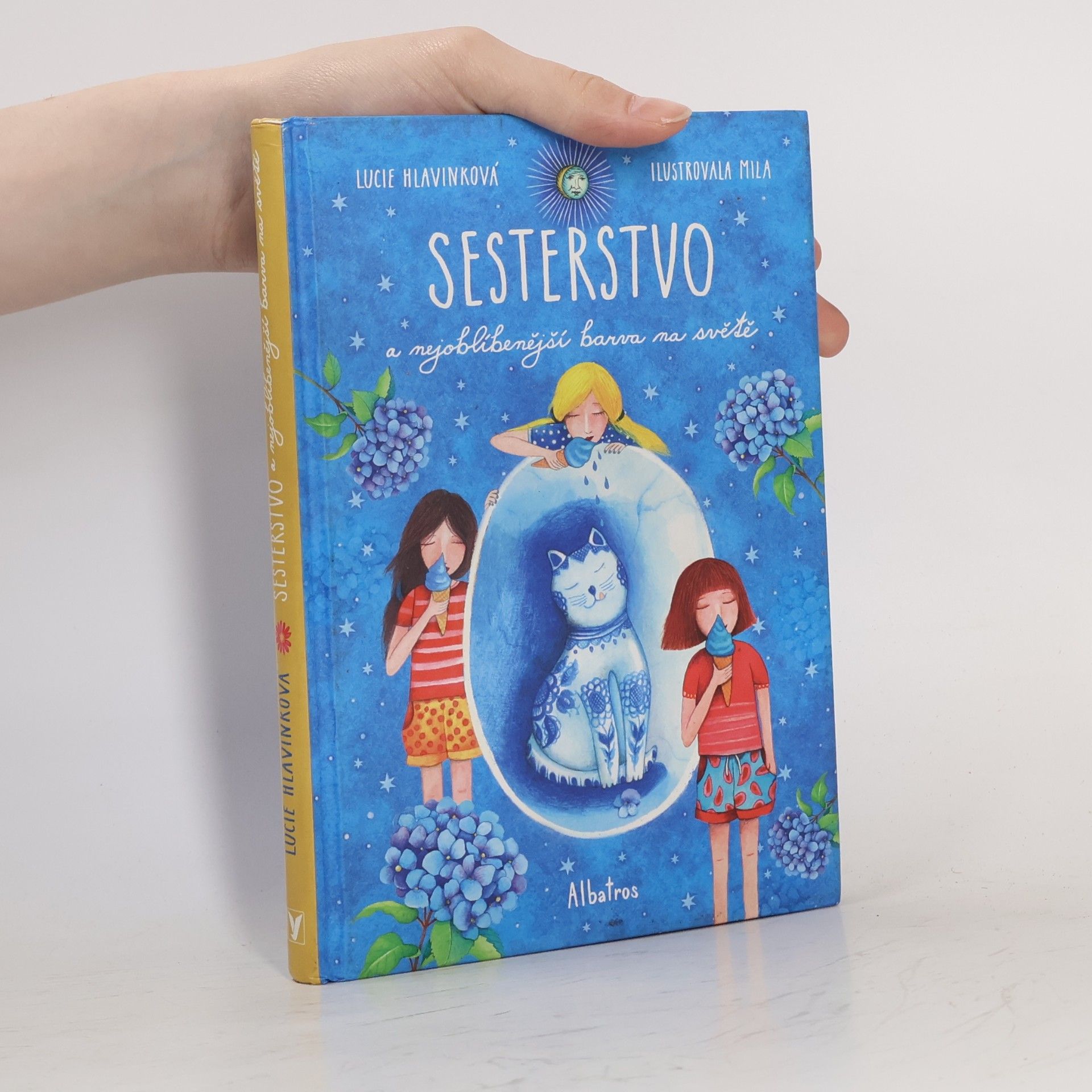 Sesterstvo a nejoblíbenější barva na světě