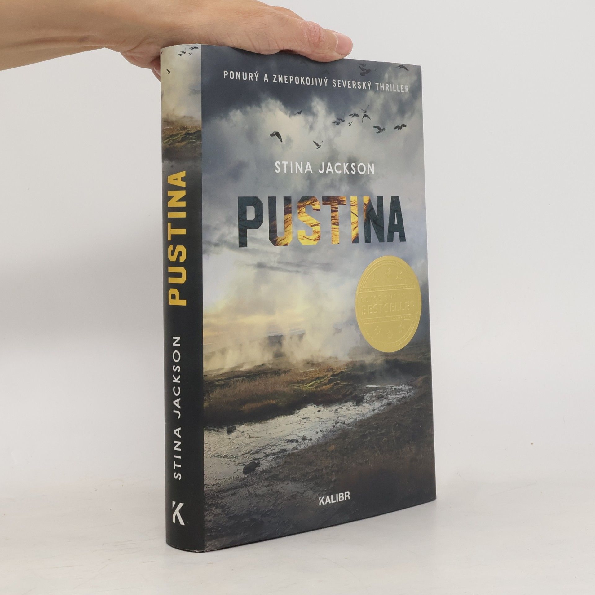 Stina Jackson Pustina