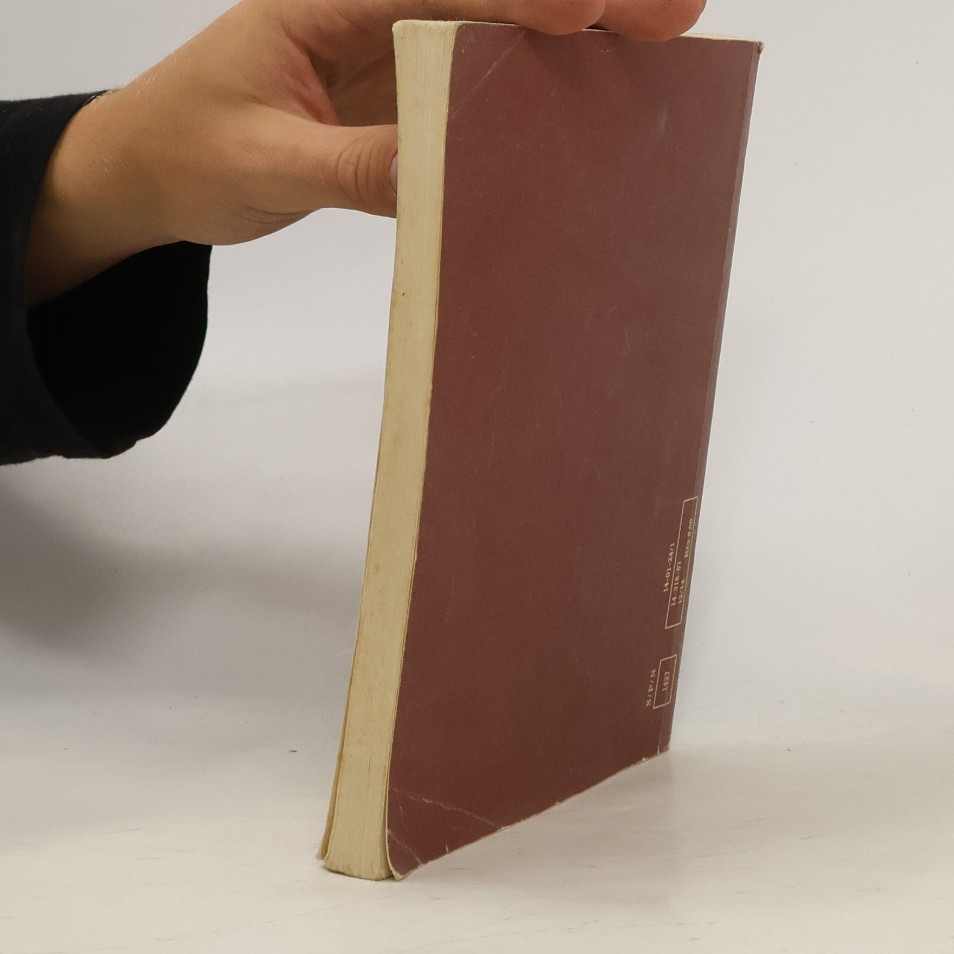 Vítězslav Rzounek Literatura IV. pro střední školy