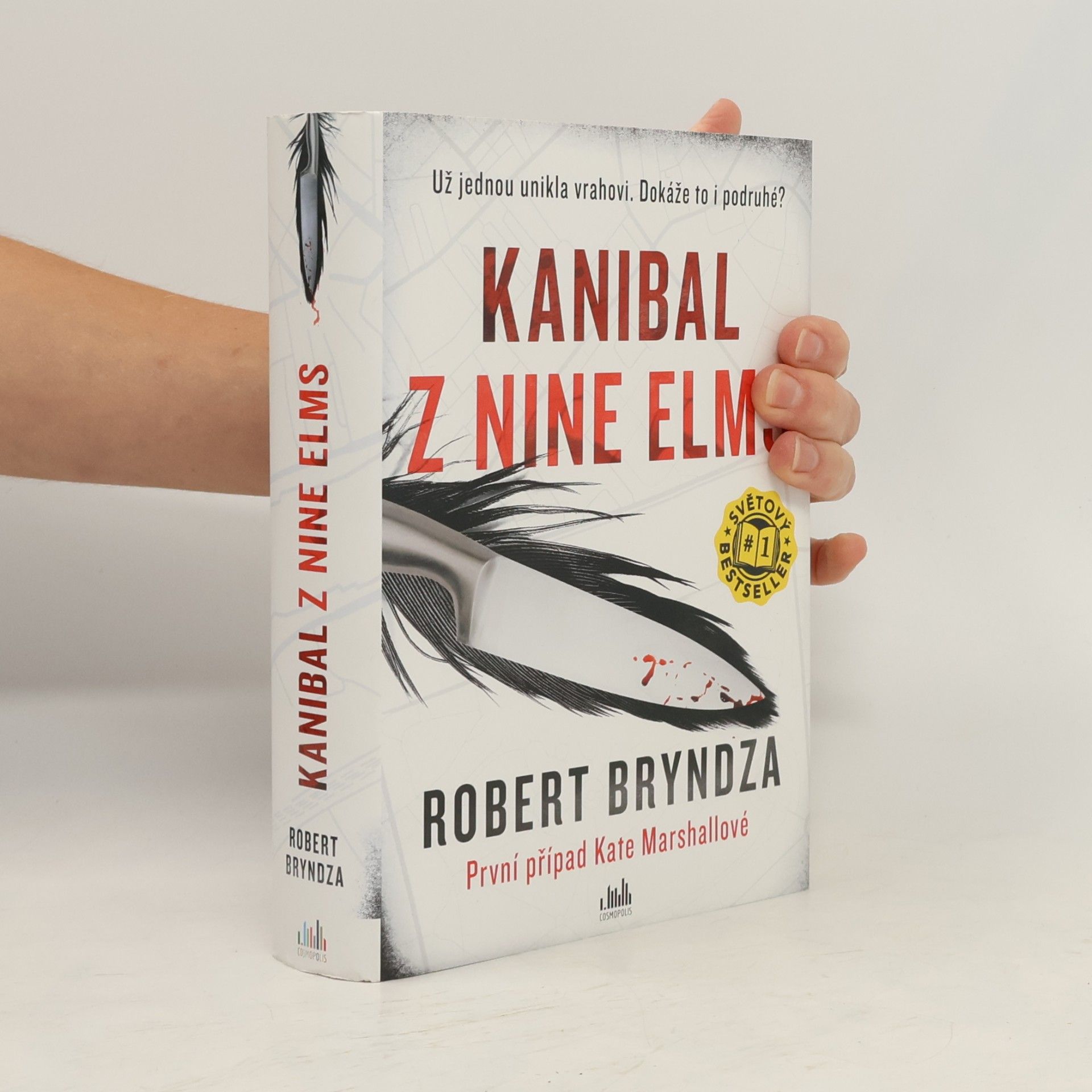 Robert Bryndza Kanibal z Nine Elms