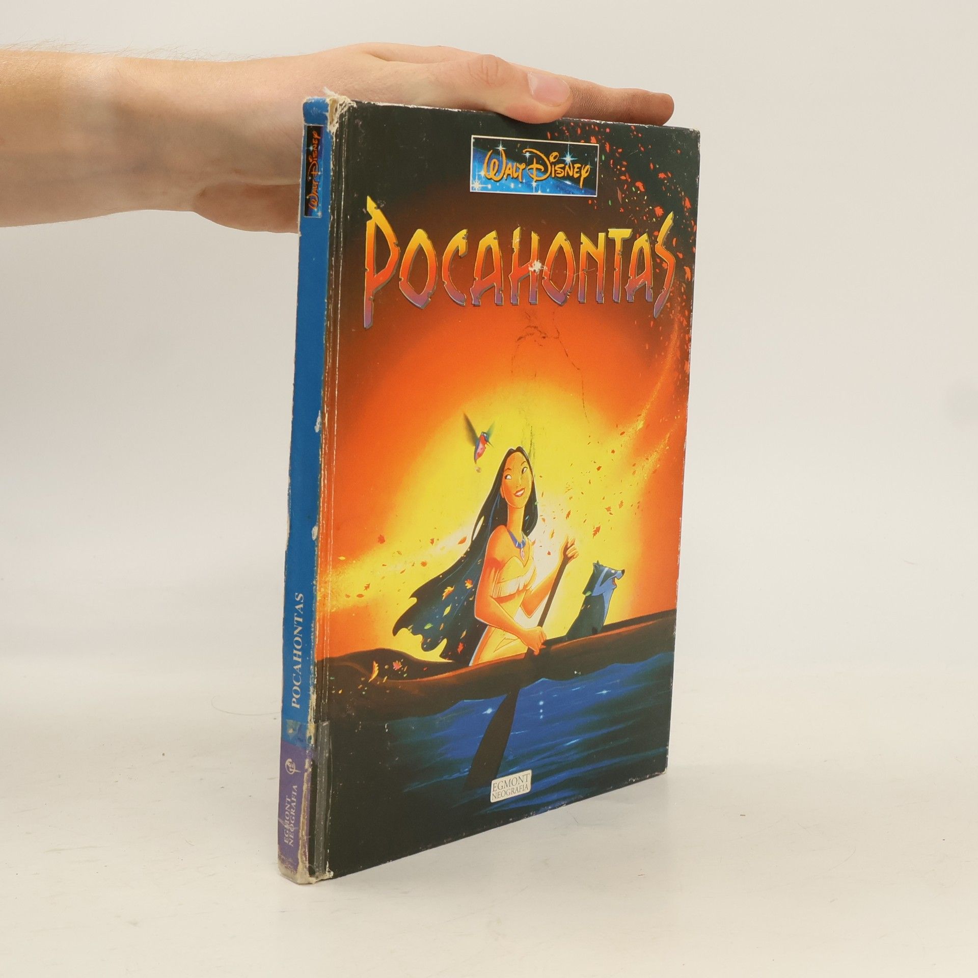 Walt Disney Pocahontas