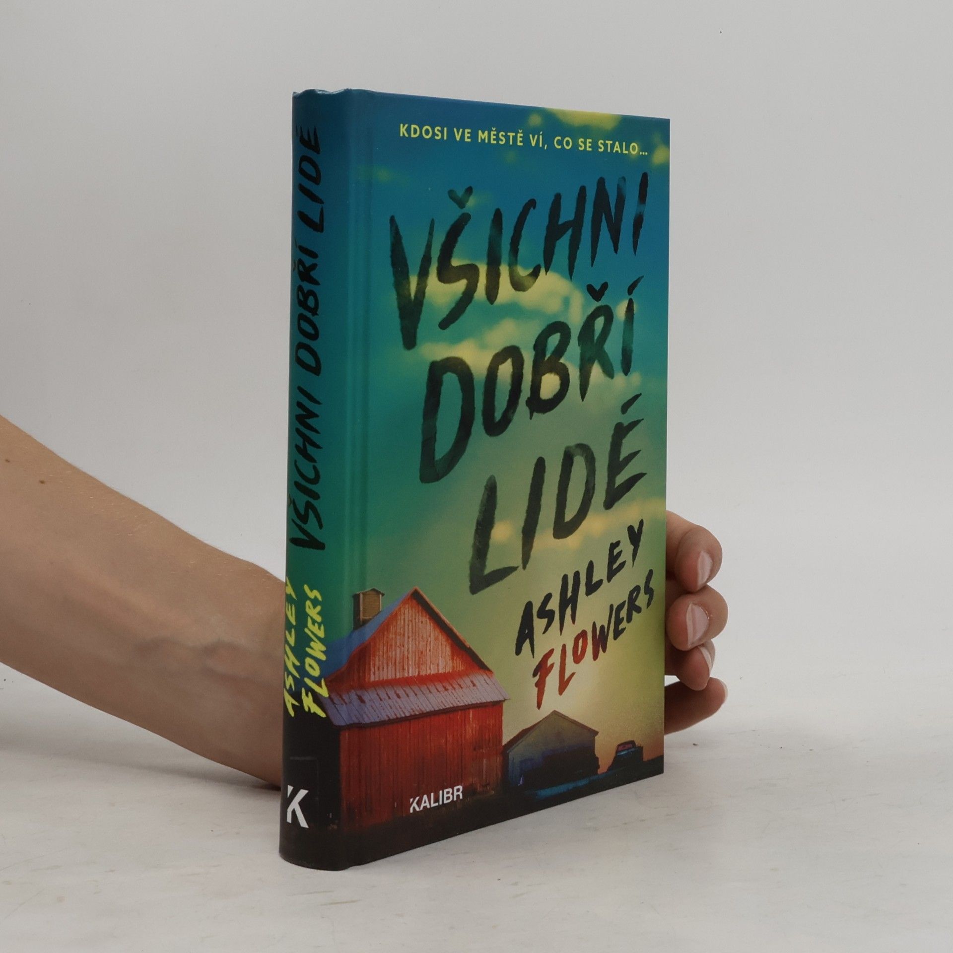 Ashley Flowers Všichni dobří lidé