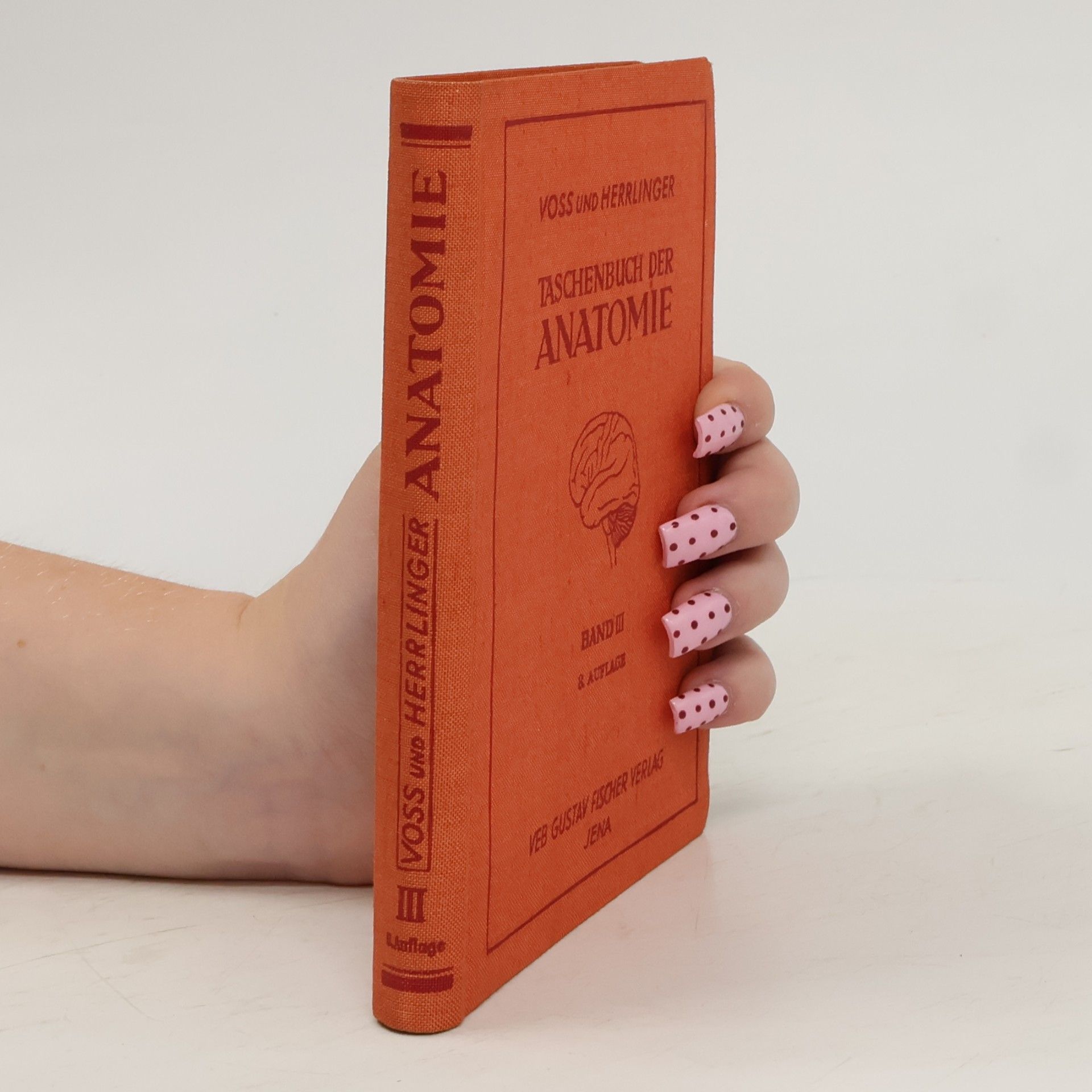 Hermann Voss Taschenbuch der Anatomie III
