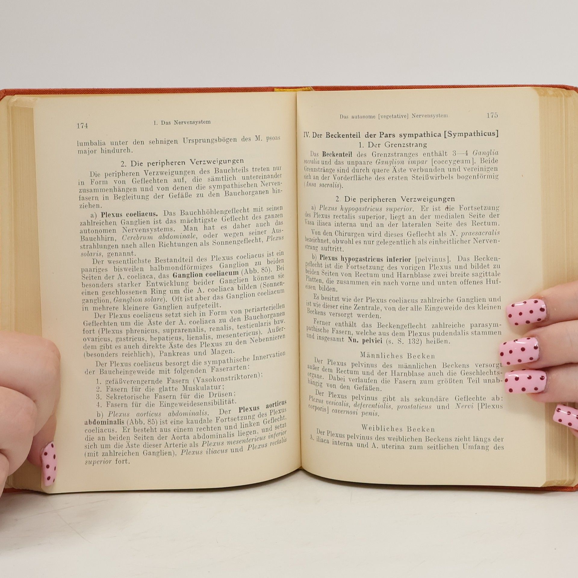 Hermann Voss Taschenbuch der Anatomie III