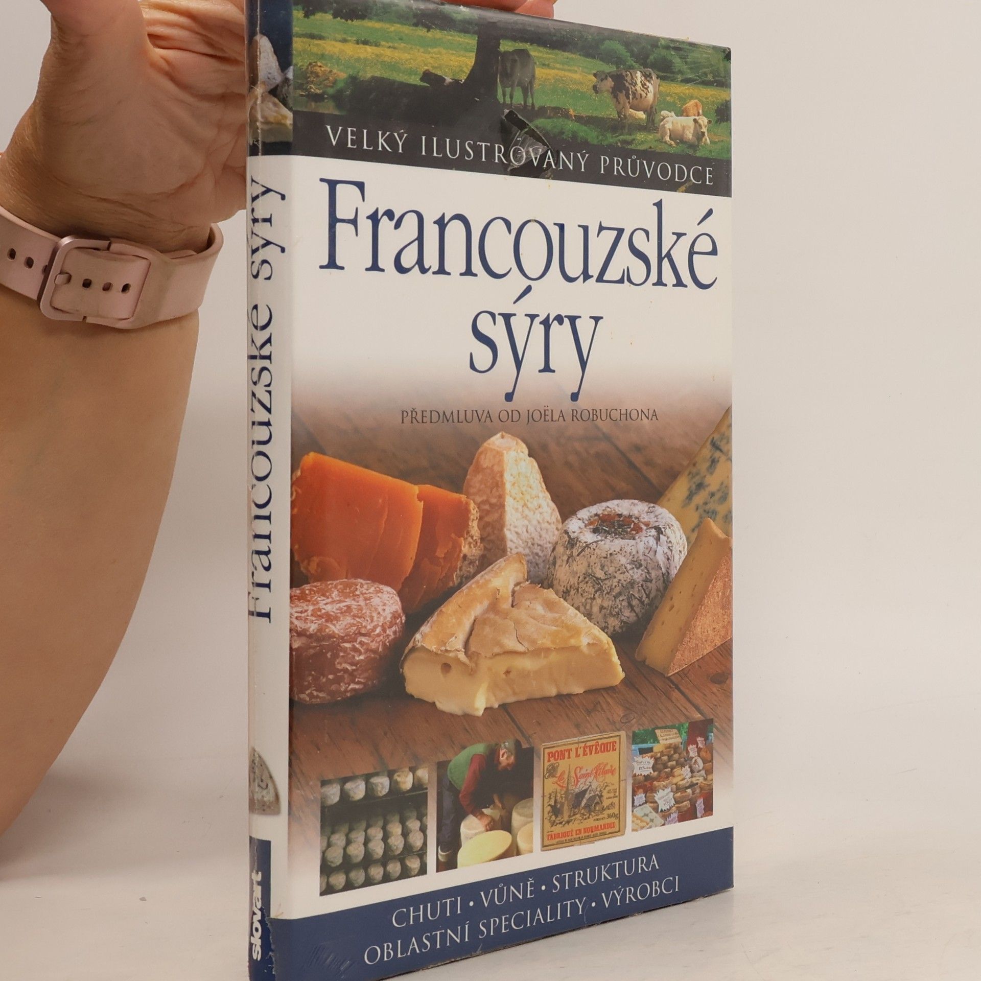 Kazuko Masui Francouzské sýry
