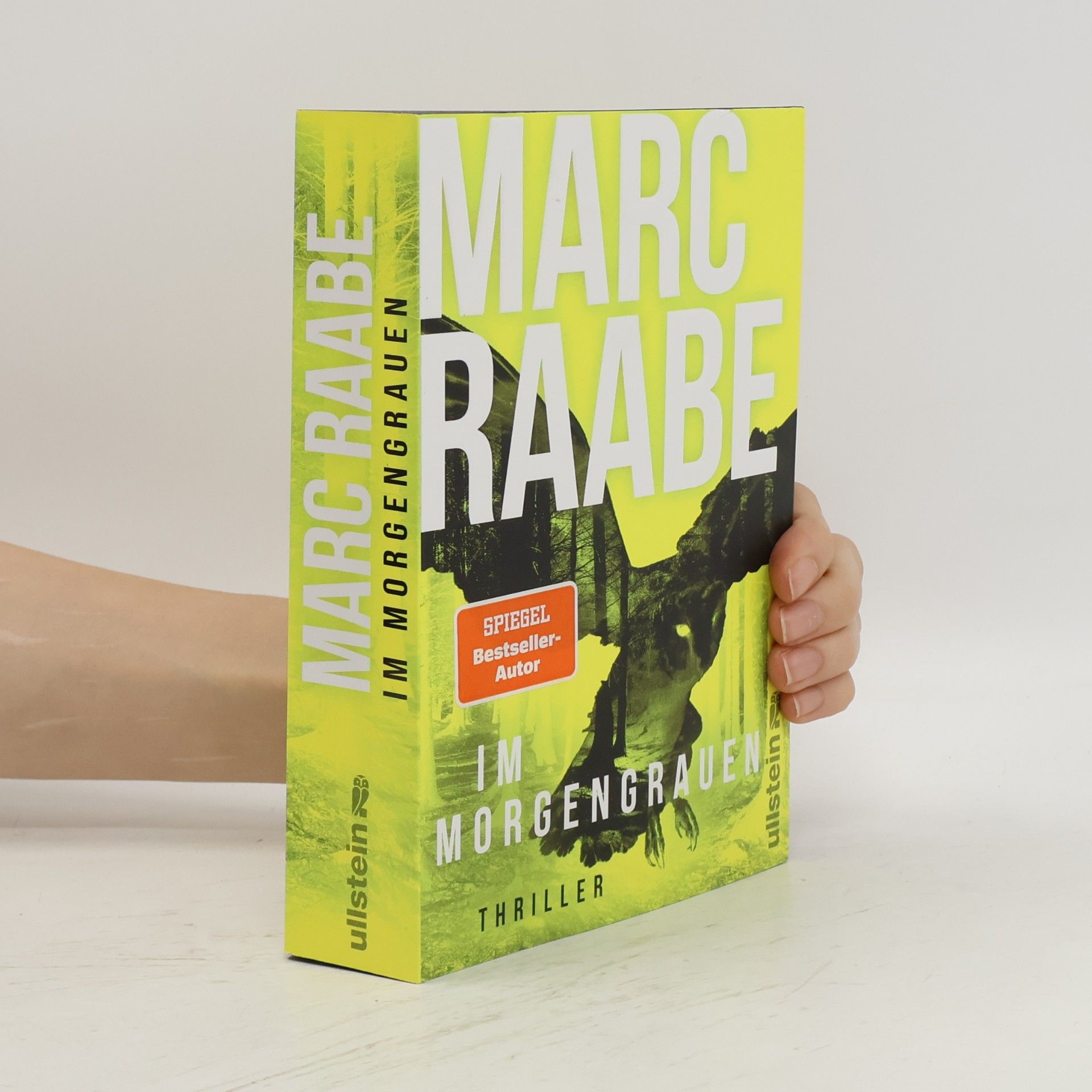 Marc Raabe Art Mayer-Serie - 4: Im Morgengrauen